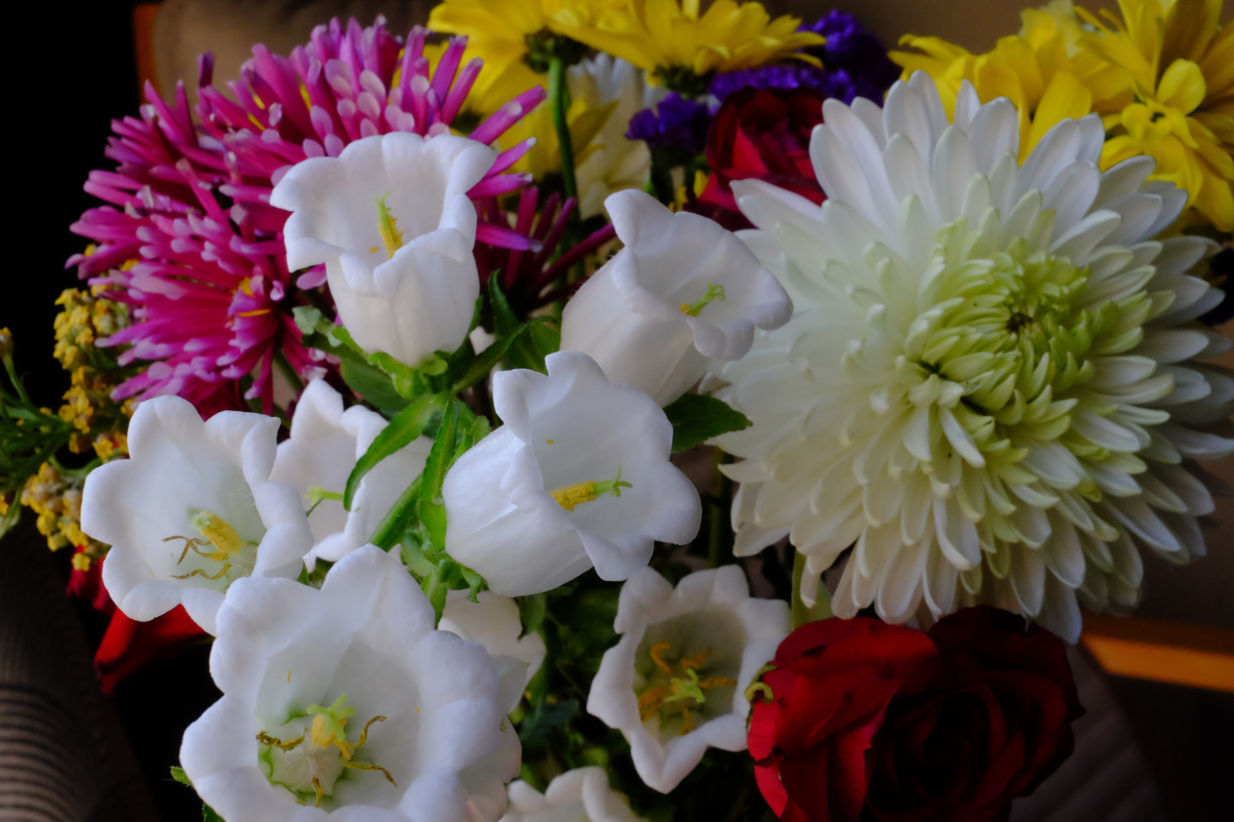 A vibrant bouquet features white bell-shaped flowers surrounded by colorful blooms, including pink, yellow, and red flowers.