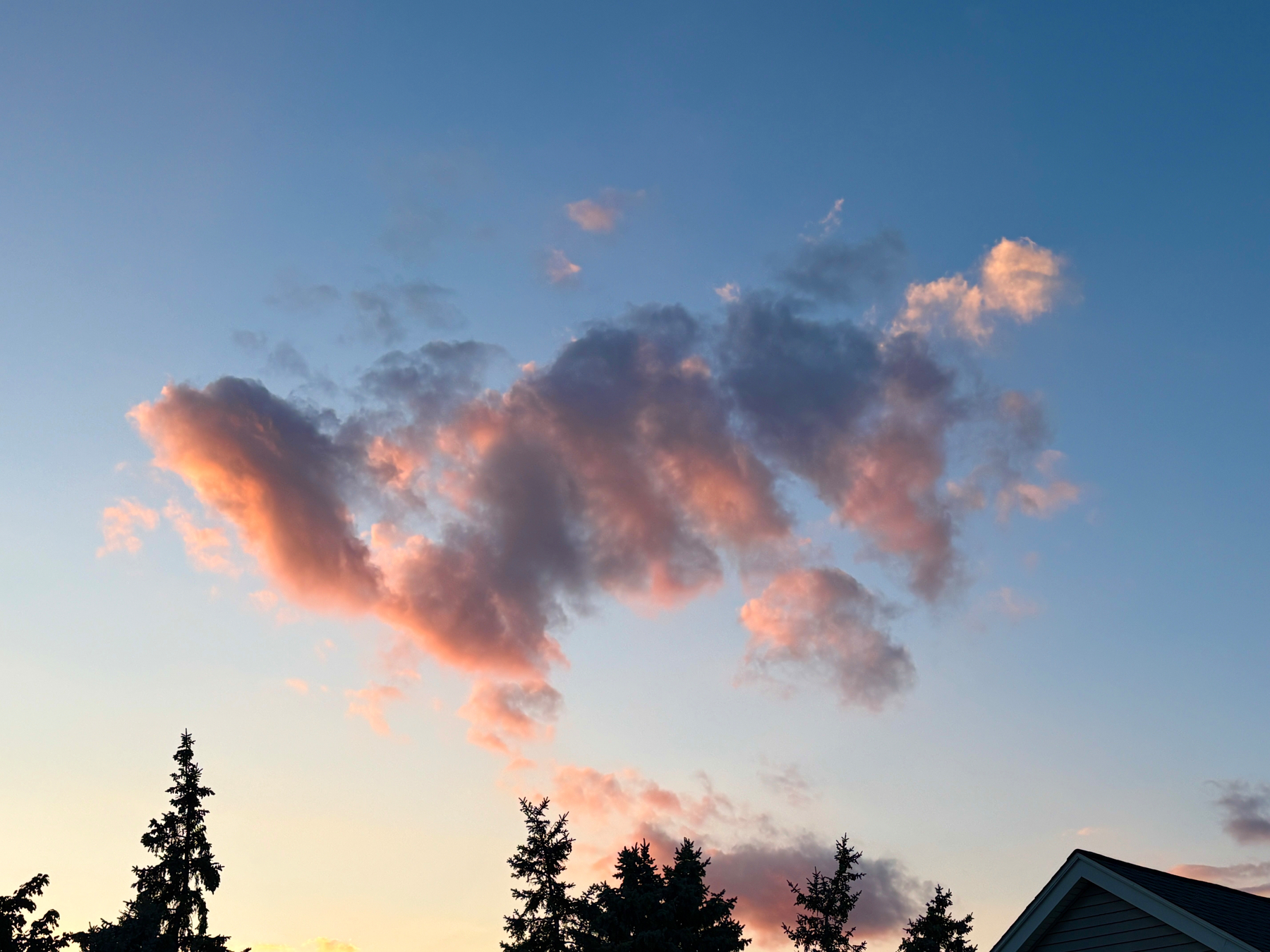 A vibrant cloud formation tinged with pink and orange hues is set against a clear sky above silhouetted tree tops and the roof of a house at sunset.