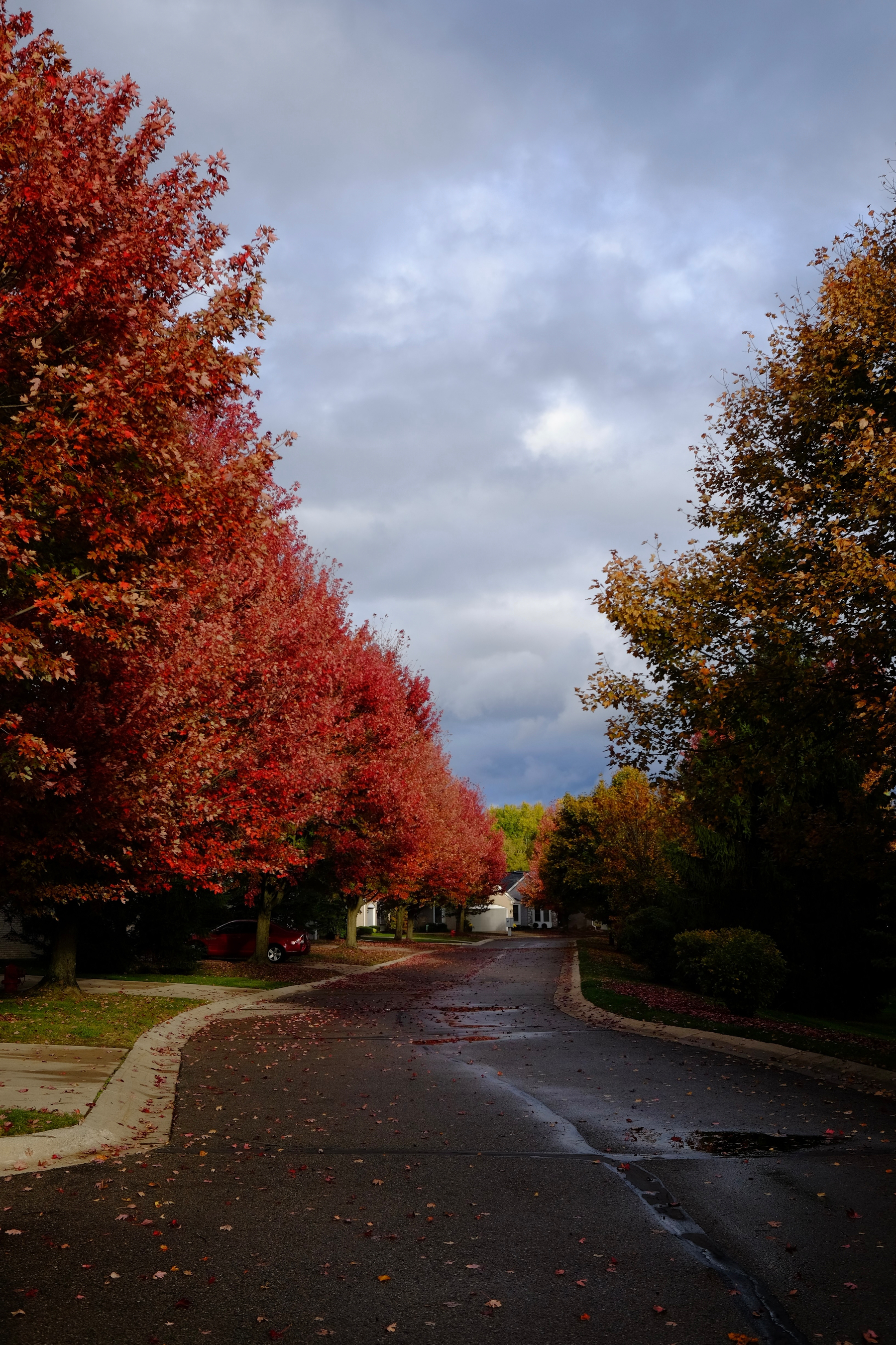 A quiet suburban street is lined with trees displaying vibrant autumn foliage under a cloudy sky.