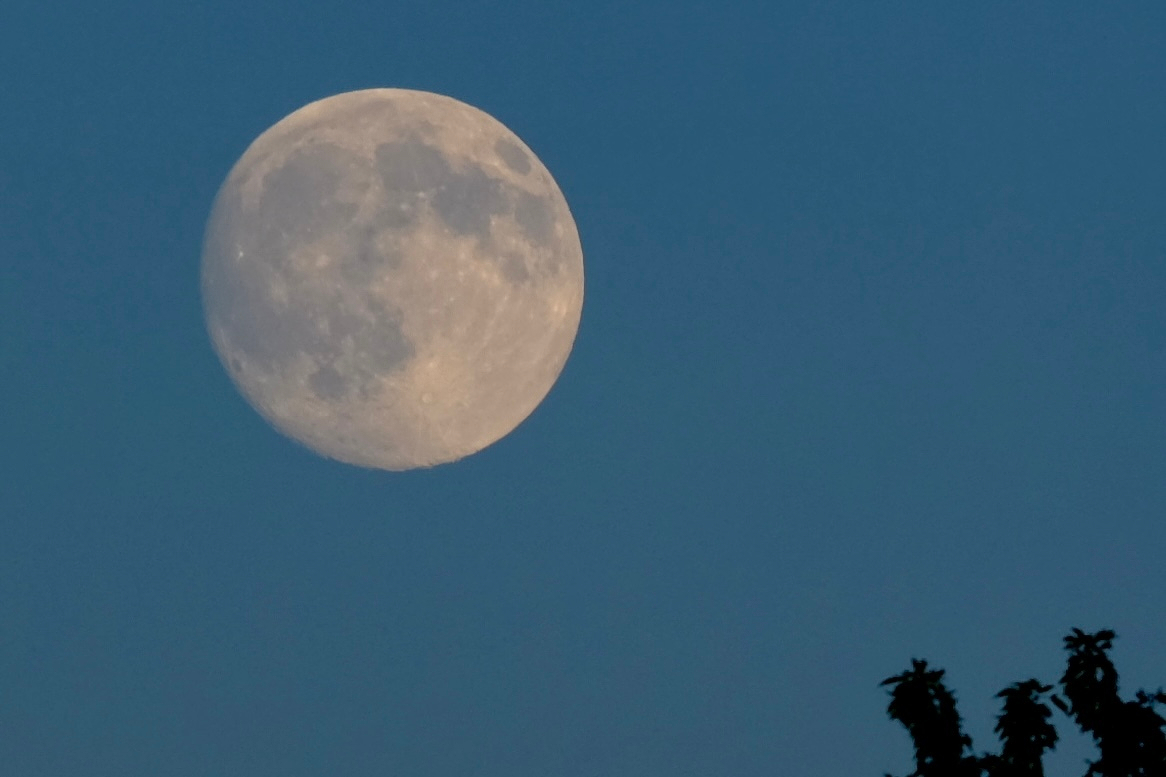 A large, bright full moon is visible in the clear evening sky above the silhouette of tree branches.