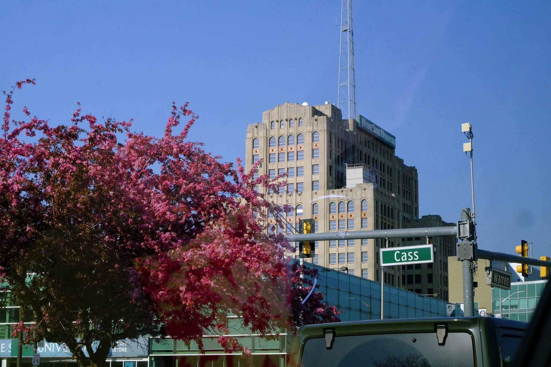 Downtown Detroit featuring a prominent art-deco building in the background, with a street sign labeled Cass and a vibrant blossoming tree in the foreground.