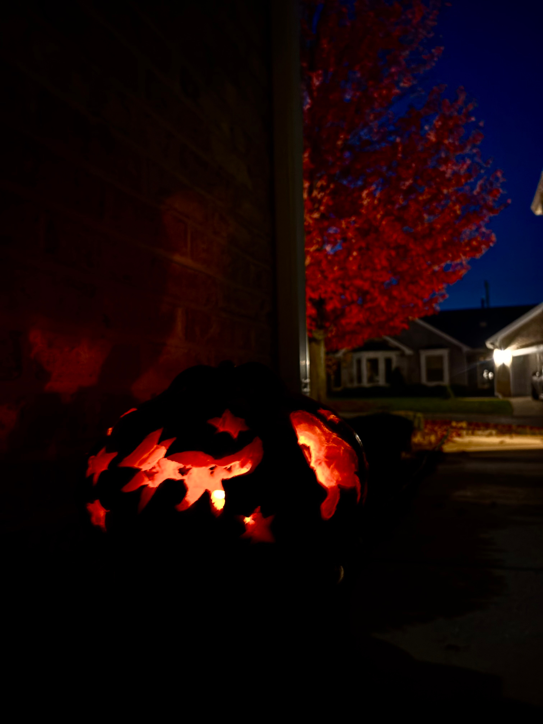 A glowing carved pumpkin with celestial and animal designs sits near a house entrance, illuminated by the soft light of a vibrant red tree in the background during twilight.