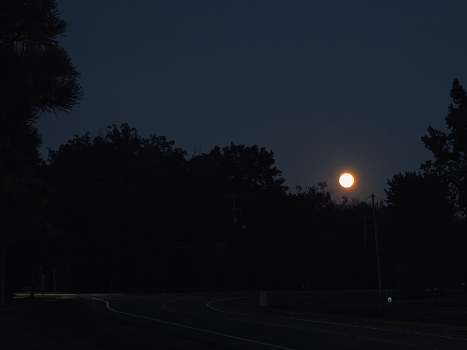 A bright full moon is shining in the night sky above a dark, tree-lined road.