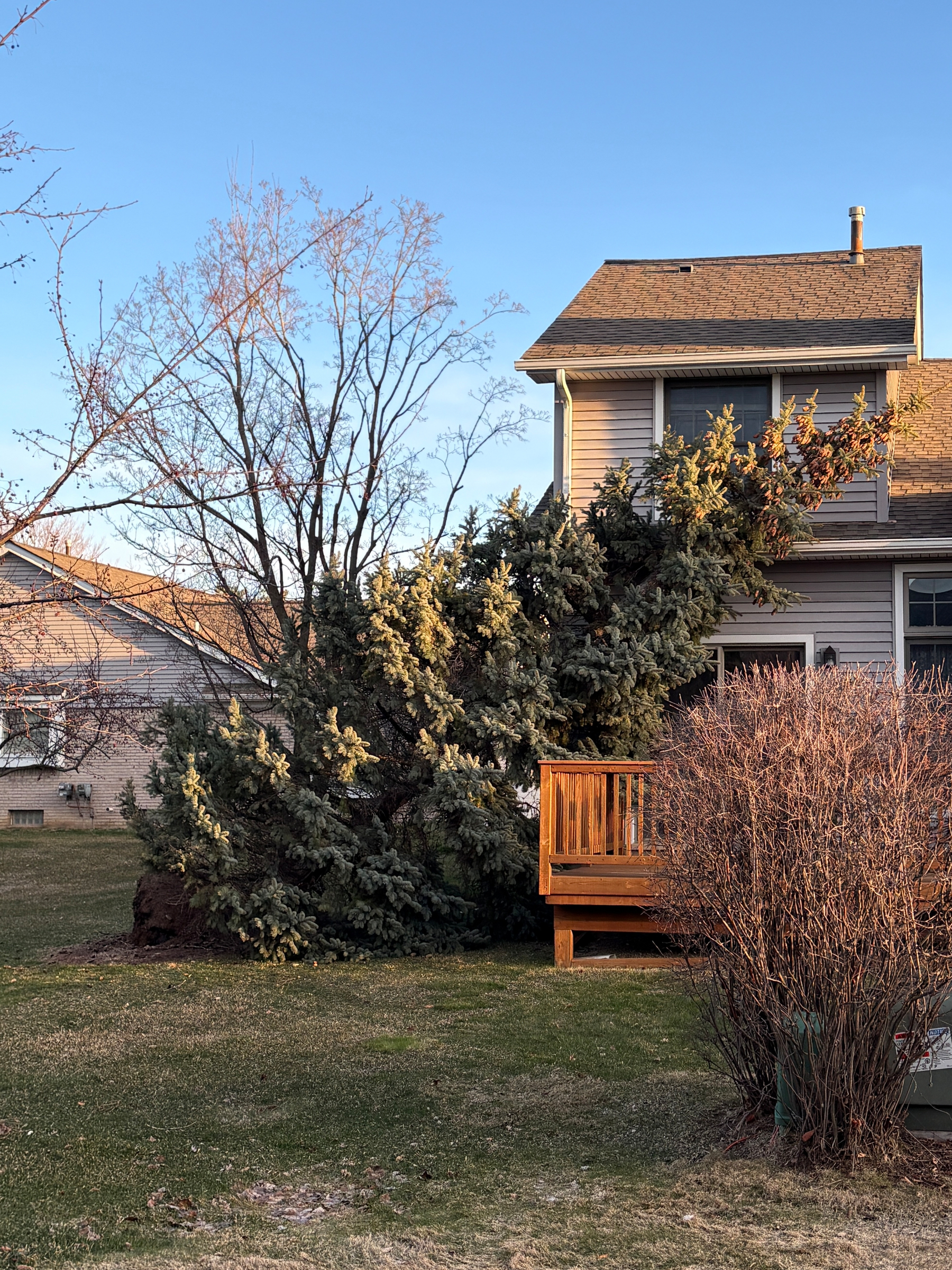 Fallen evergreen tree leaning over that back deck of a condo