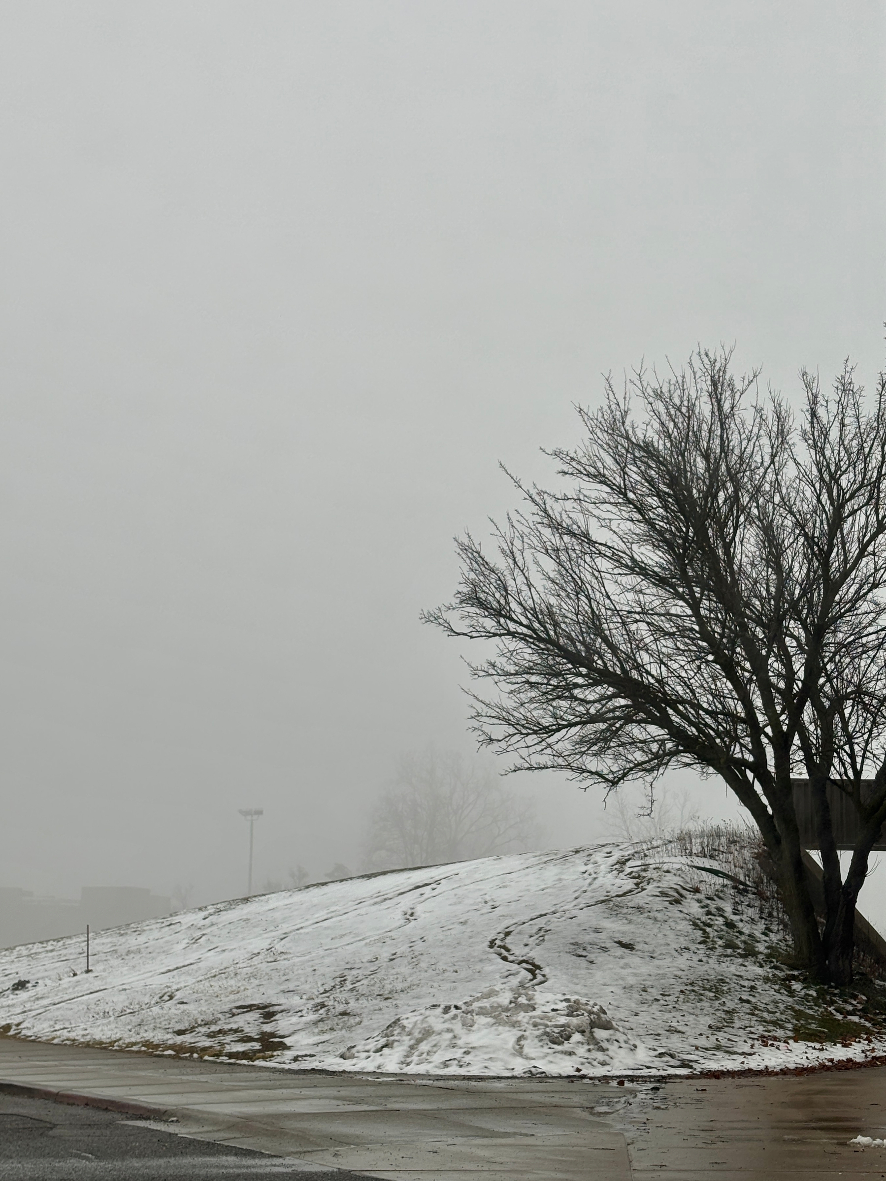 A foggy day with a view of a snow covered hill with leafless trees