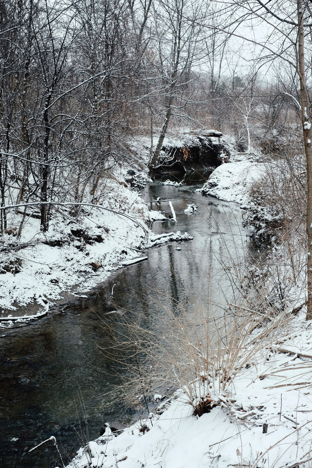 A tranquil creek meanders through a snowy, leafless forest on a winter day.