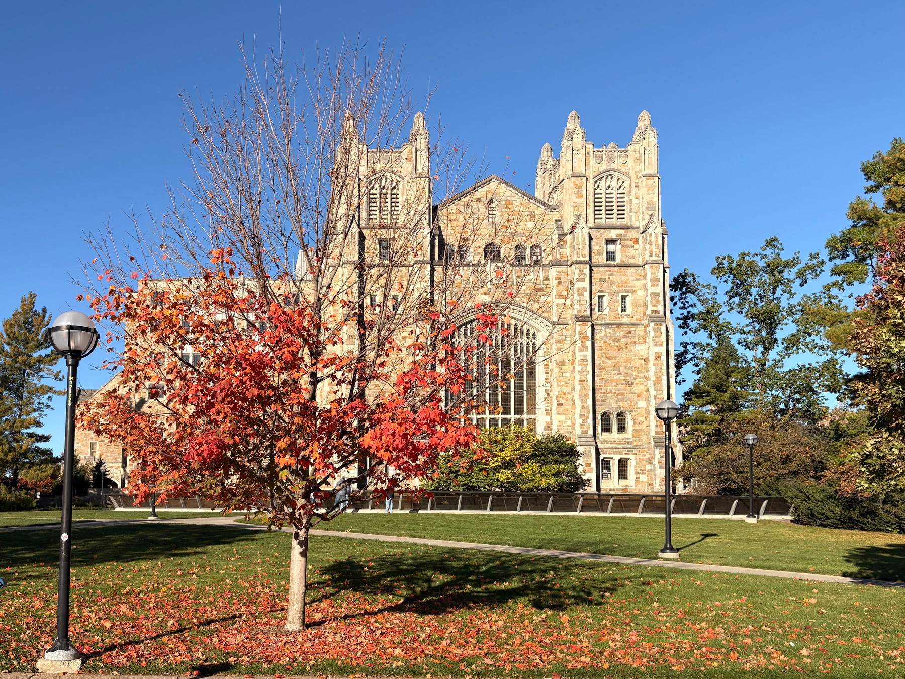 A stone building with Gothic architectural elements is set against a clear blue sky, surrounded by green grass, street lamps, and autumn trees with red and orange leaves.