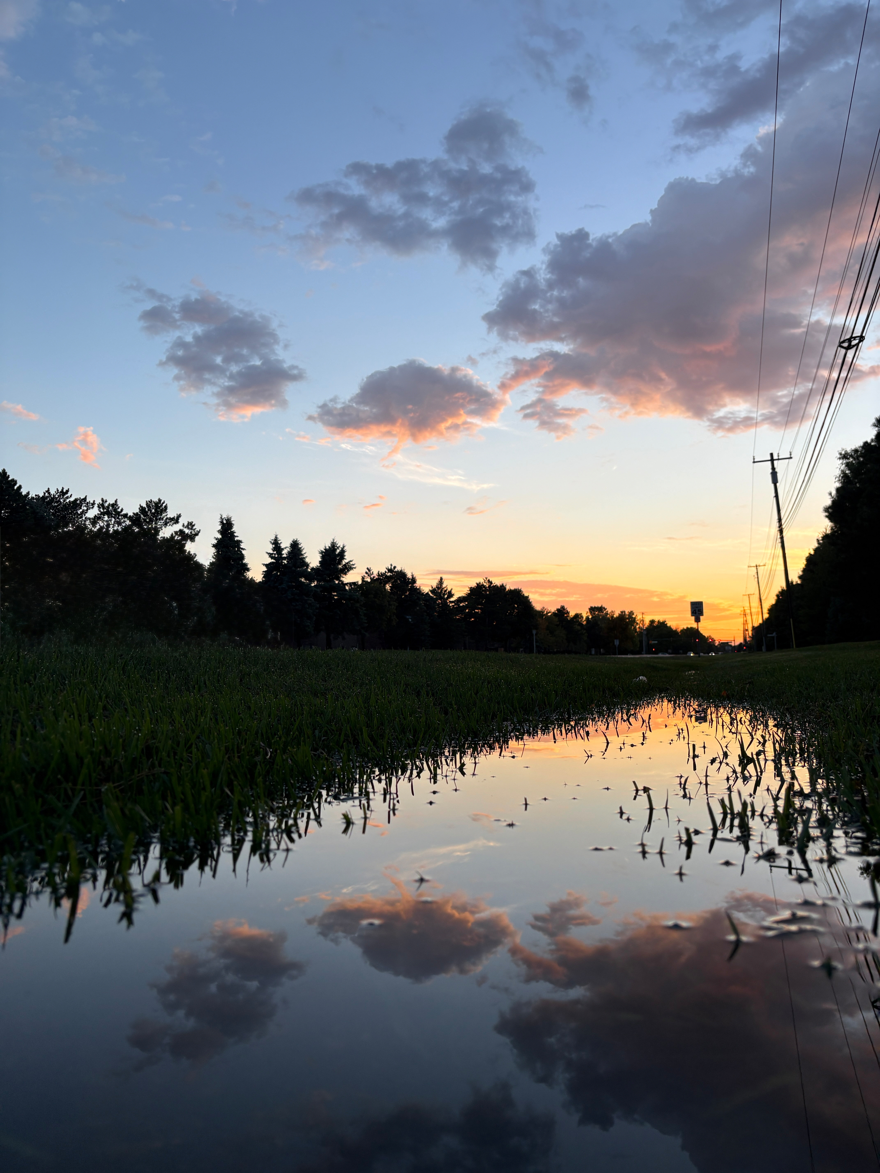 A peaceful sunset is reflected in a puddle along a grassy roadside lined with trees and utility poles.