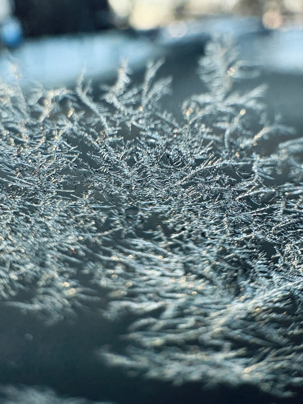 Delicate ice crystals form intricate patterns on a glass surface.