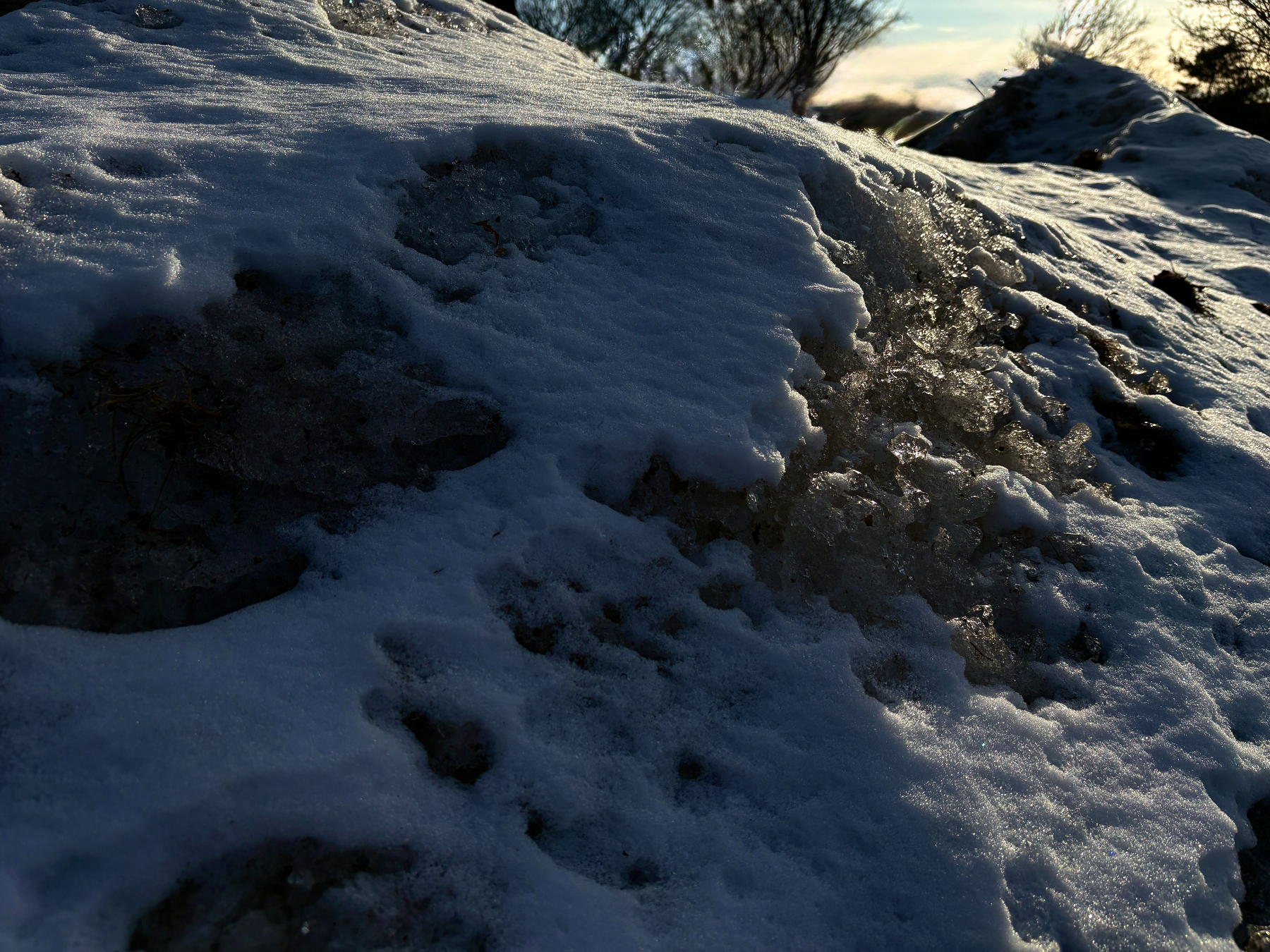 Snow-covered ground with patches of ice in a shadowy area.