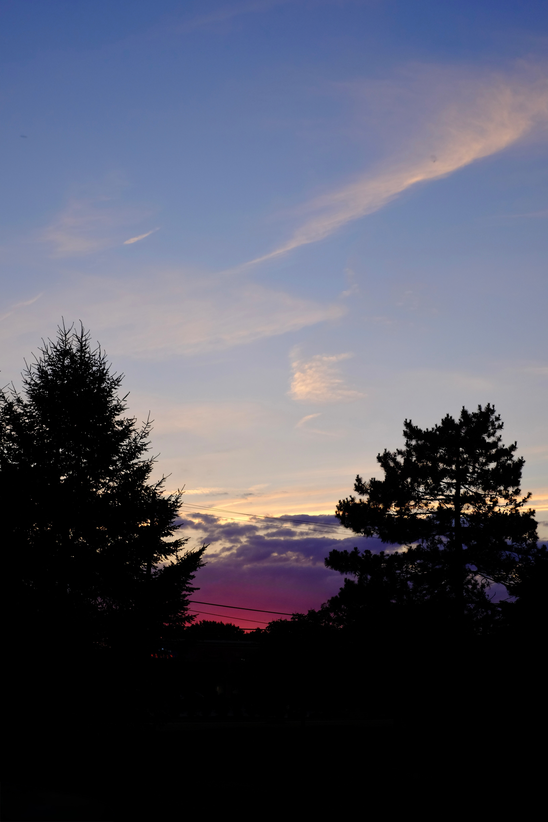 Silhouetted trees stand against a colorful sky at sunset with hues of purple, pink, and blue.