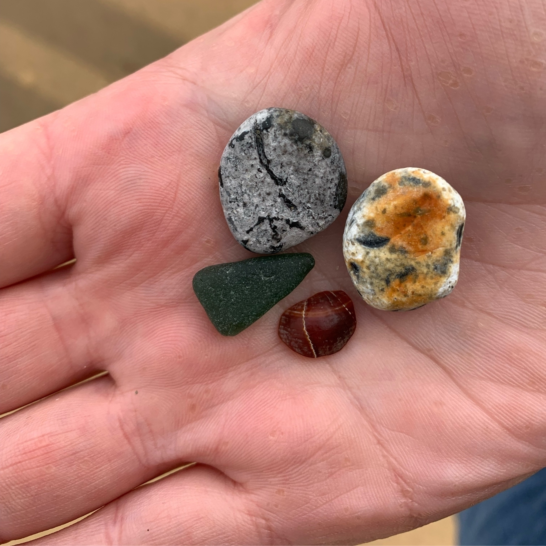 Two small colourful pebbles, a piece of bottle green seaglass and a shard of deep orange shell sitting on the palm of a hand