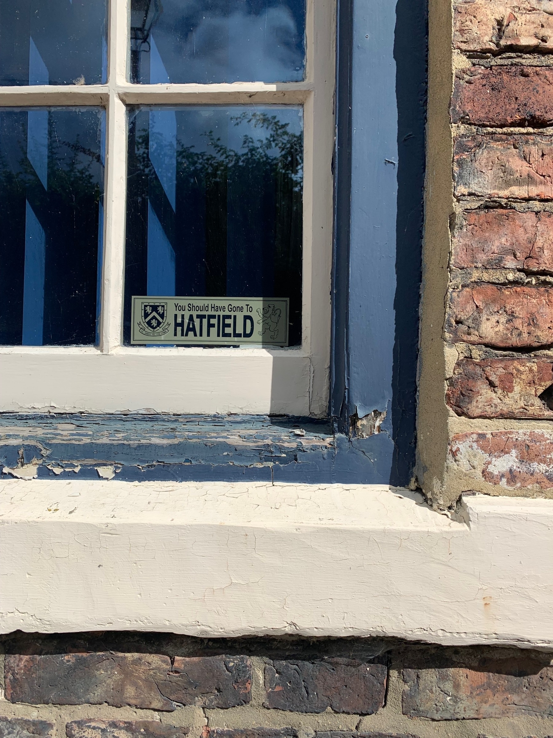 Sign in a window reading 'You Should Have Gone to Hatfield'.