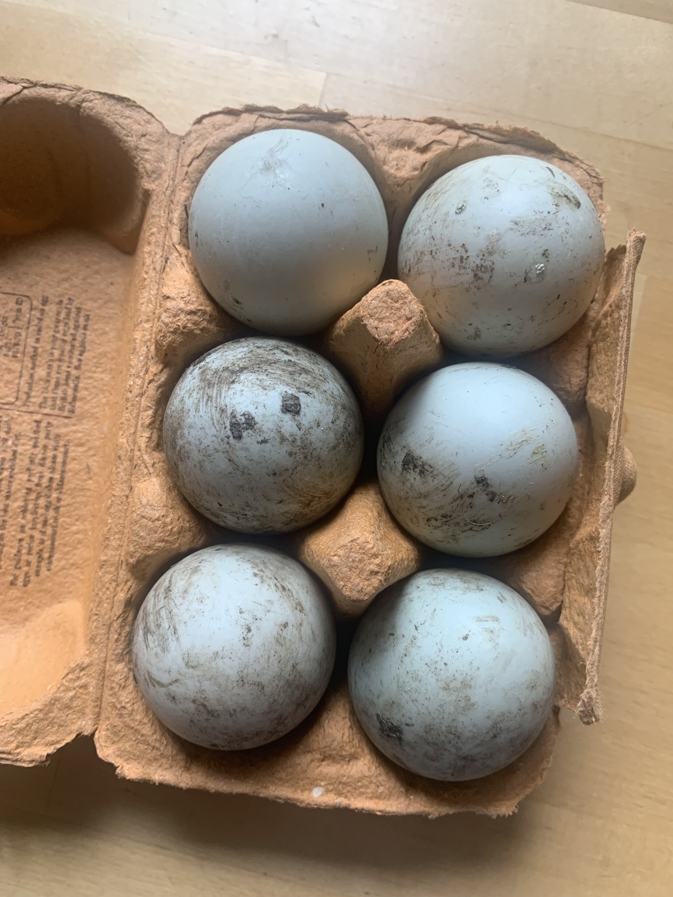 Open egg box holding six large duck eggs covered in dirt.