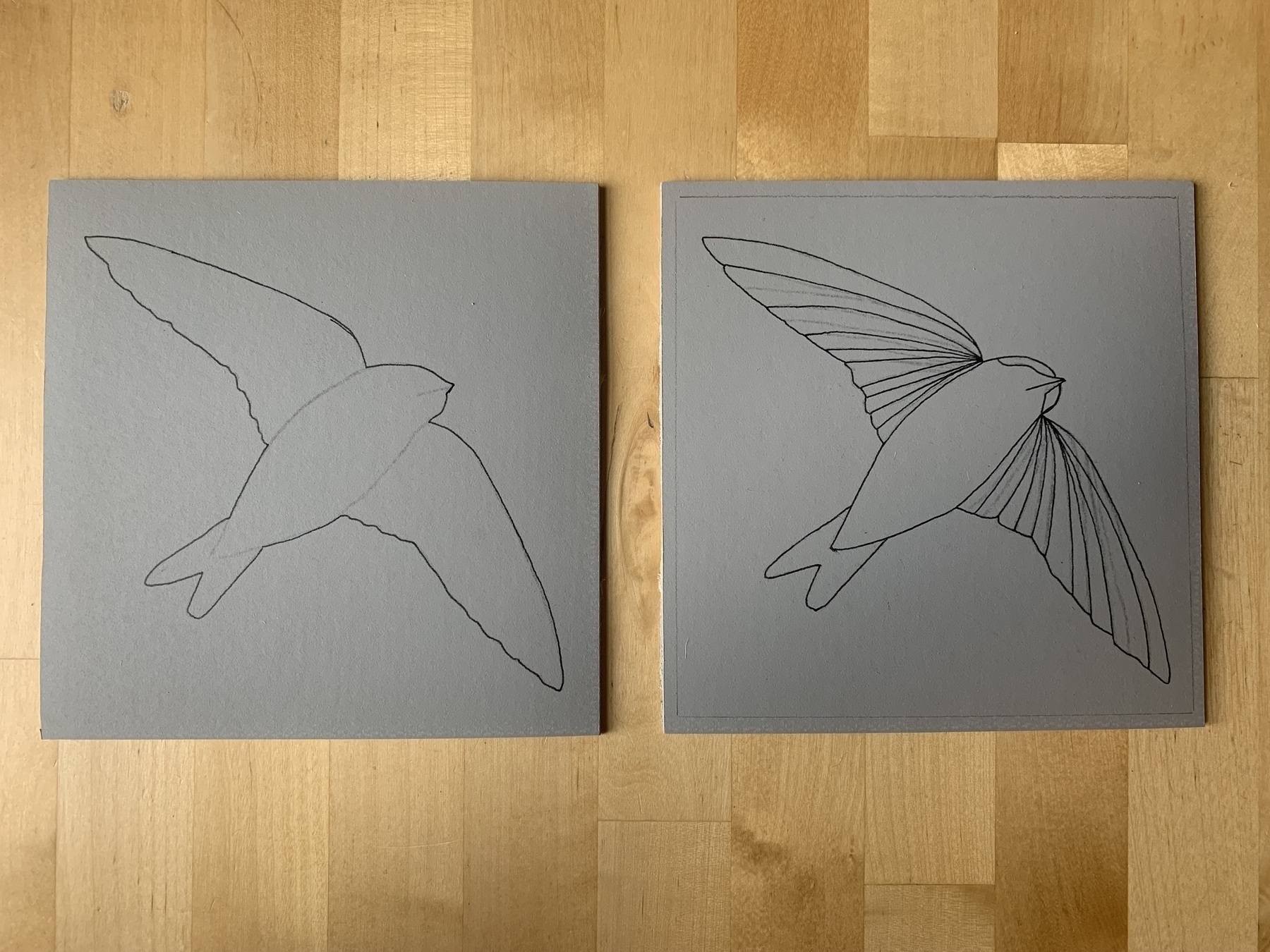 Two squares of lino side by side. Left has outline in black marker of a house martin in flight with wings spread. Right is identical outline of the bird with additional detail on the wings.