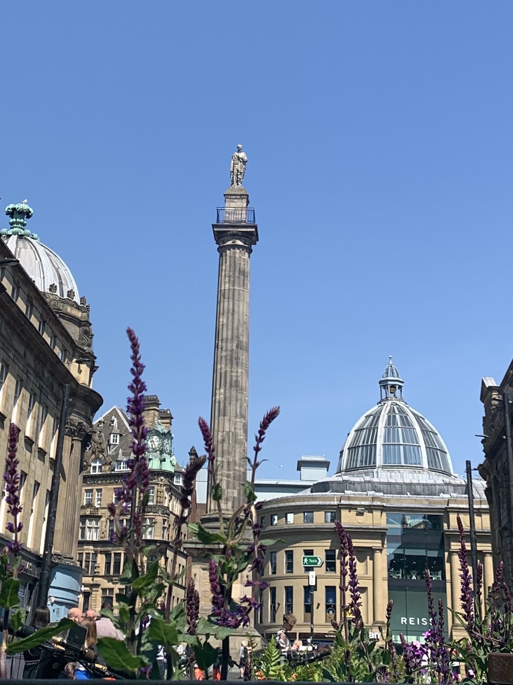 Purple flowers in the foreground, behind them is Grey’s Monument, a tall column with a statue of the 2nd Earl Grey at the top, and the buildings surrounding it in the centre of Newcastle-upon-Tyne, UK.