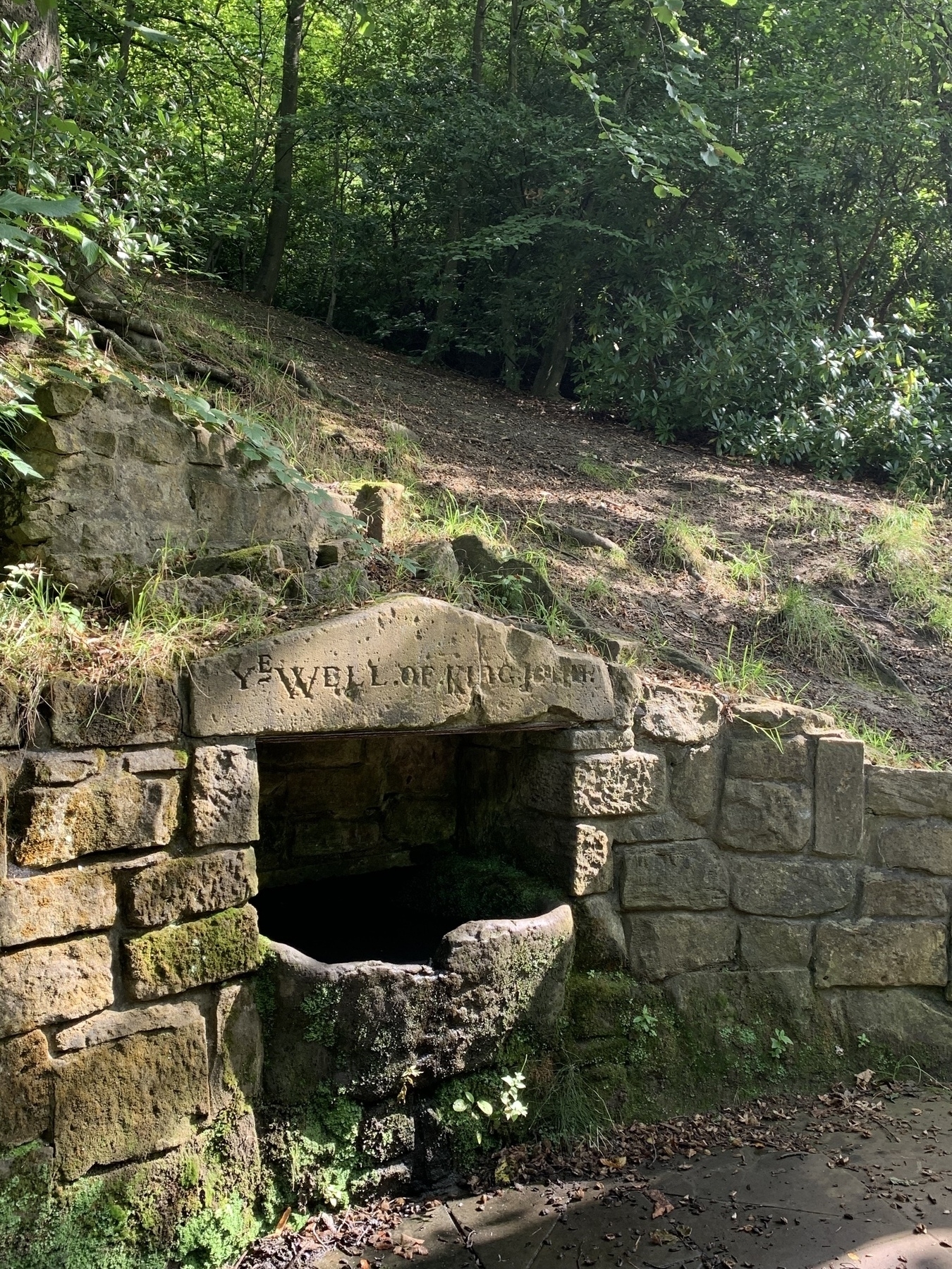 Stone well built into a mud bank under cover of trees. Carved inscription reads ‘Ye well of King John’.