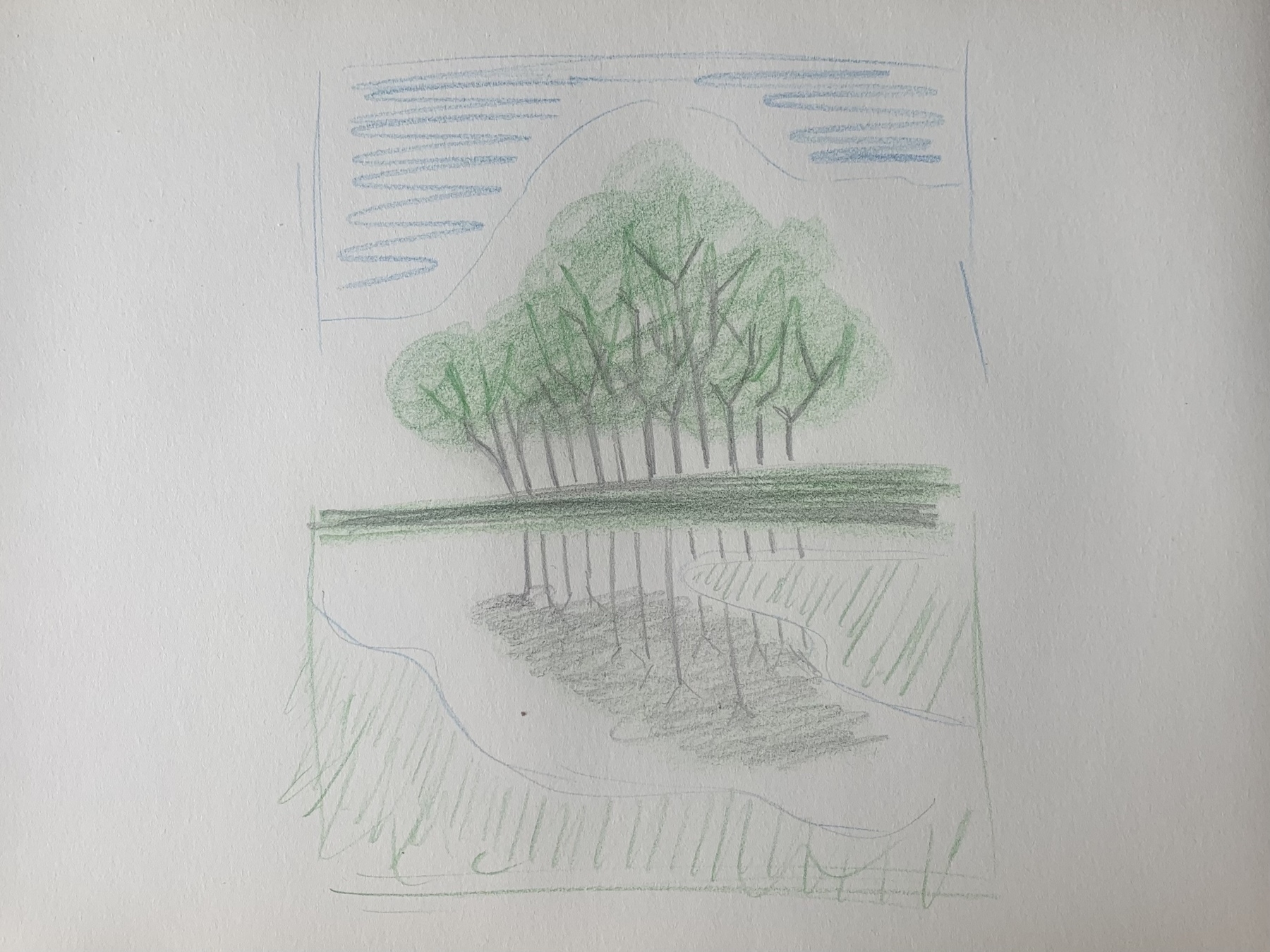 Coloured pencil sketch on paper. A stand of trees against a blue sky is reflected in a large puddle covering a field.