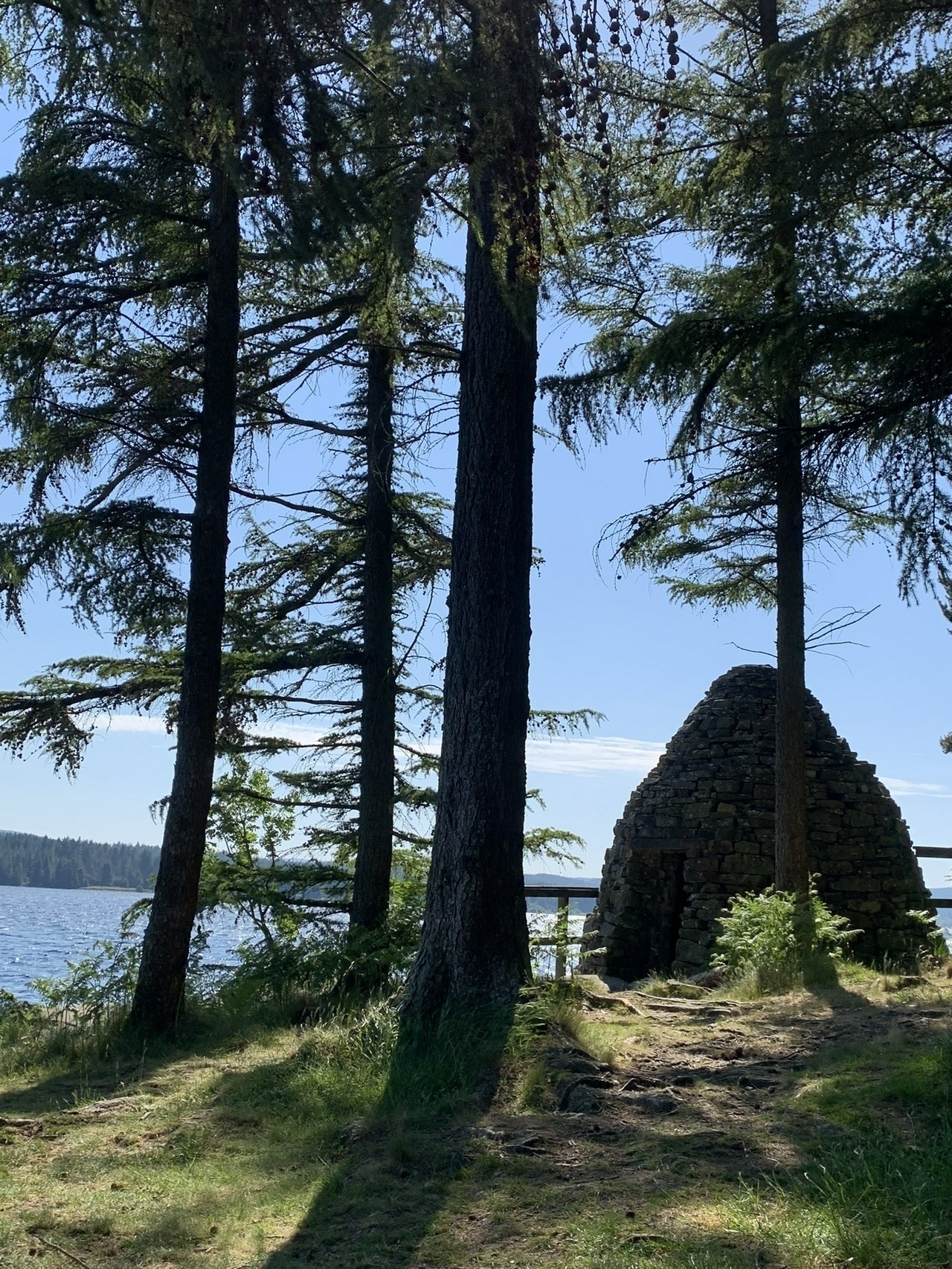 Stone kairn seen through trunks of a few towering pine trees.
