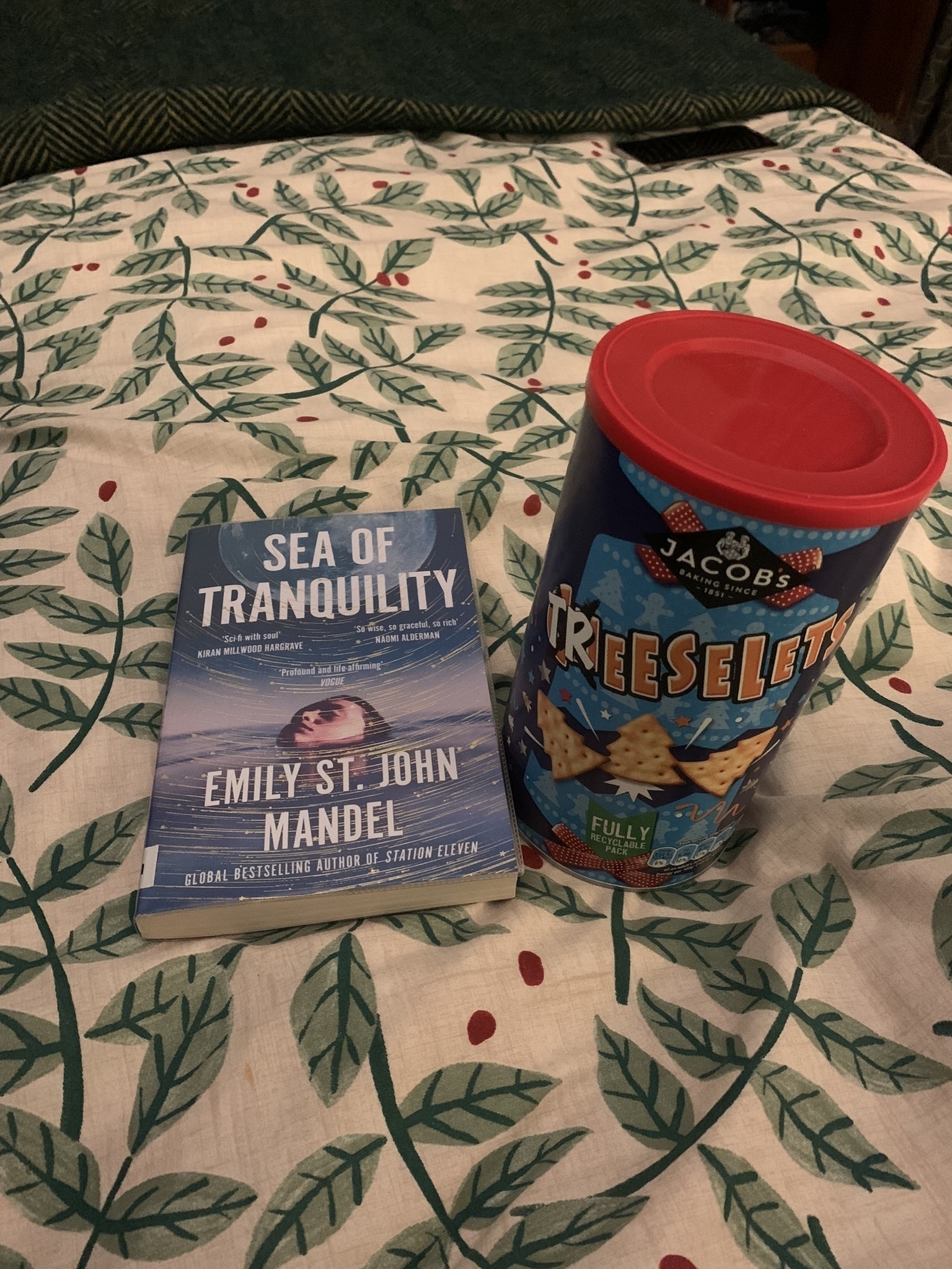 Sea of Tranquility book on a bedcover next to a tub of Treeslets.