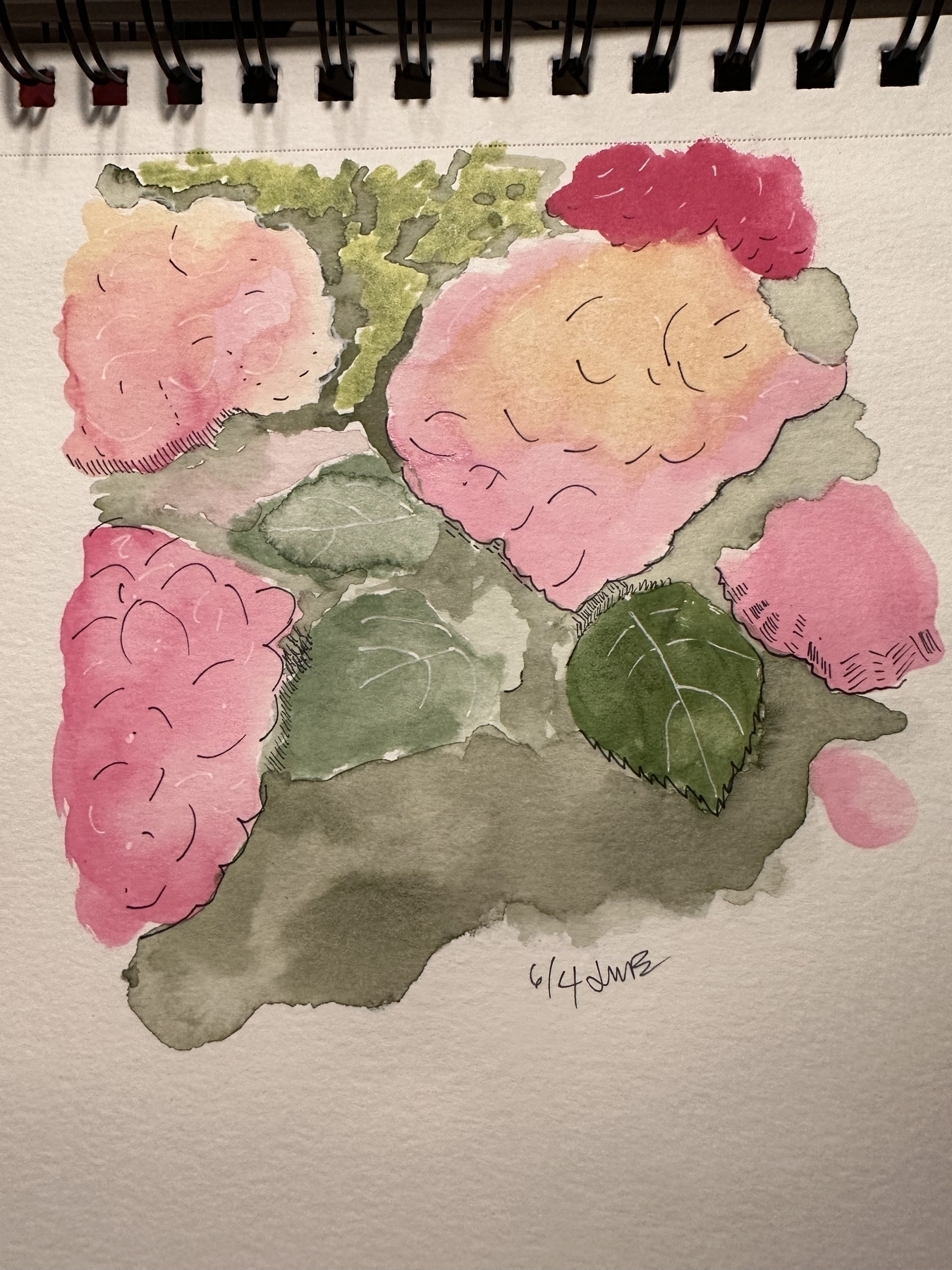 Pink hydrangeas painted in watercolor and marker