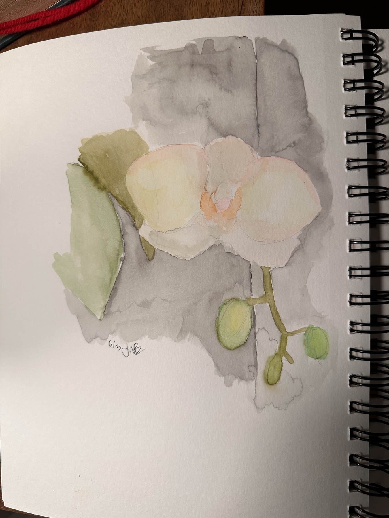white orchid water color painting