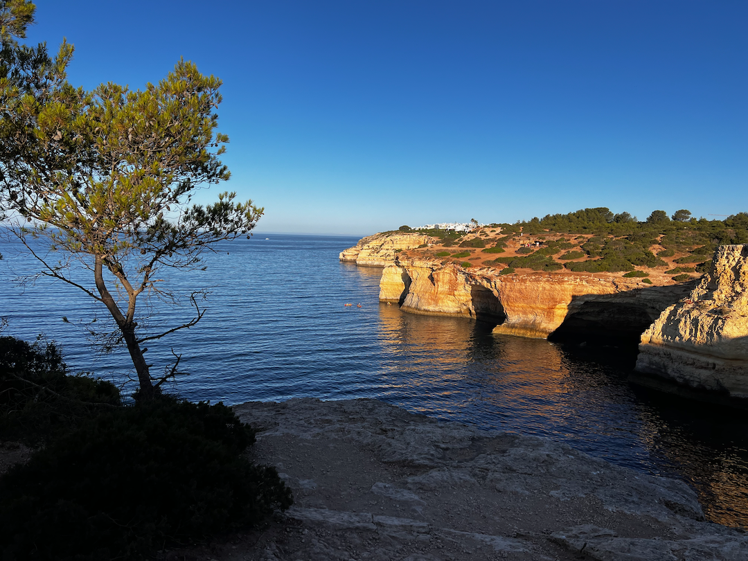 A coastal landscape features rocky cliffs, calm blue water, and a tree in the foreground under a clear sky.