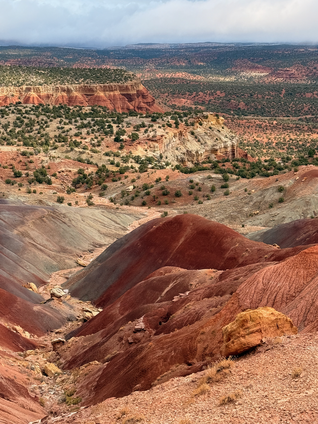 A rugged landscape features colorful hills, rocky formations, and scattered vegetation under a cloudy sky.