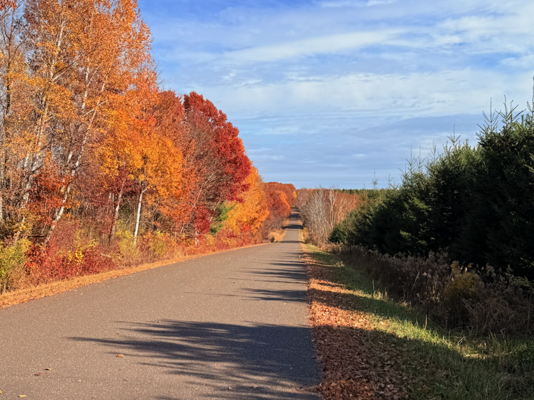 A paved road stretches into the distance, flanked by vibrant autumn trees with red and orange foliage on one side and evergreens on the other.