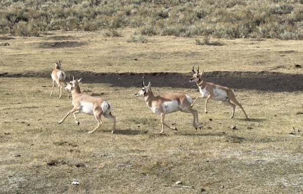 IMG_4961.jpg