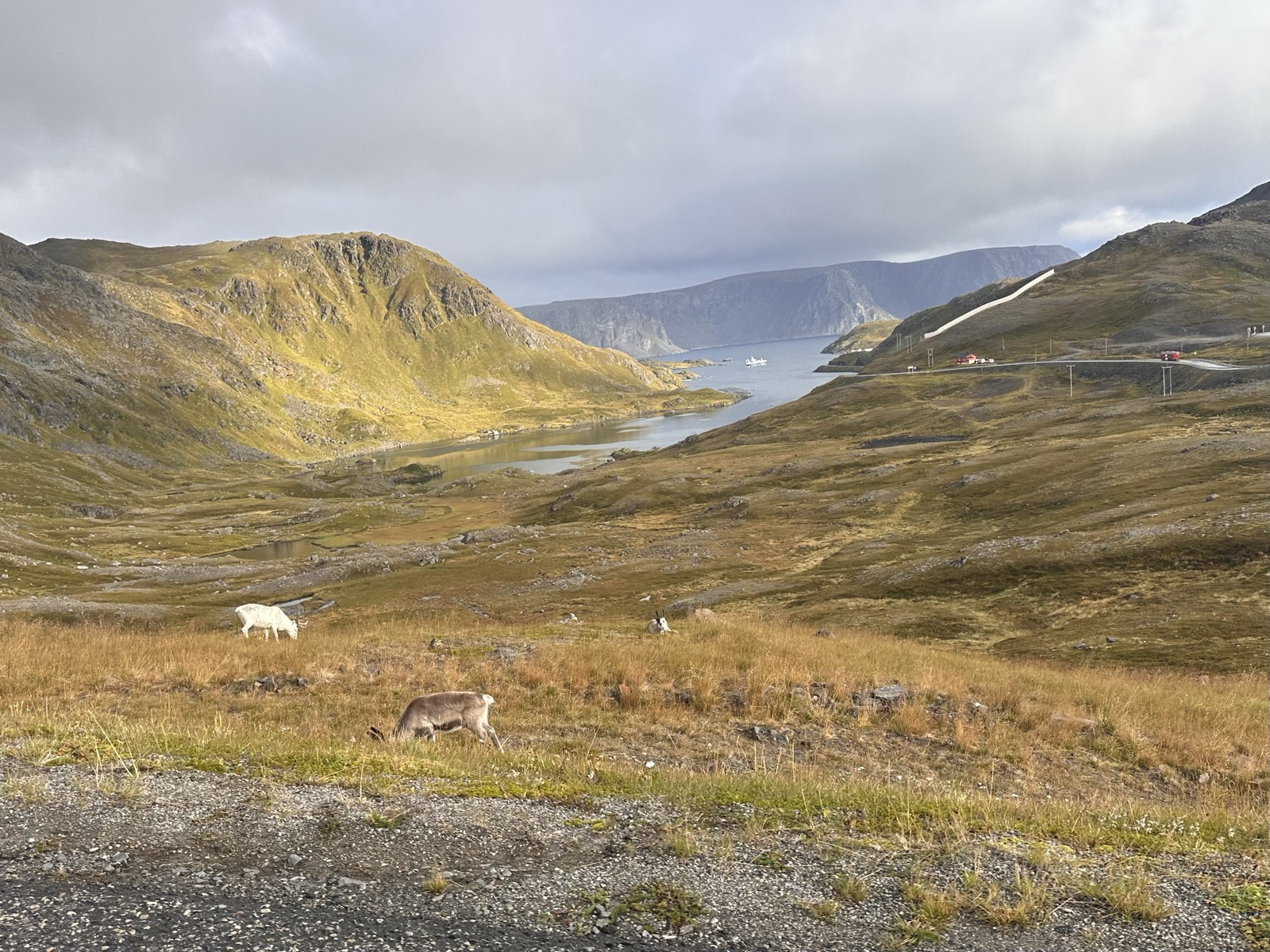 Nordkapp
