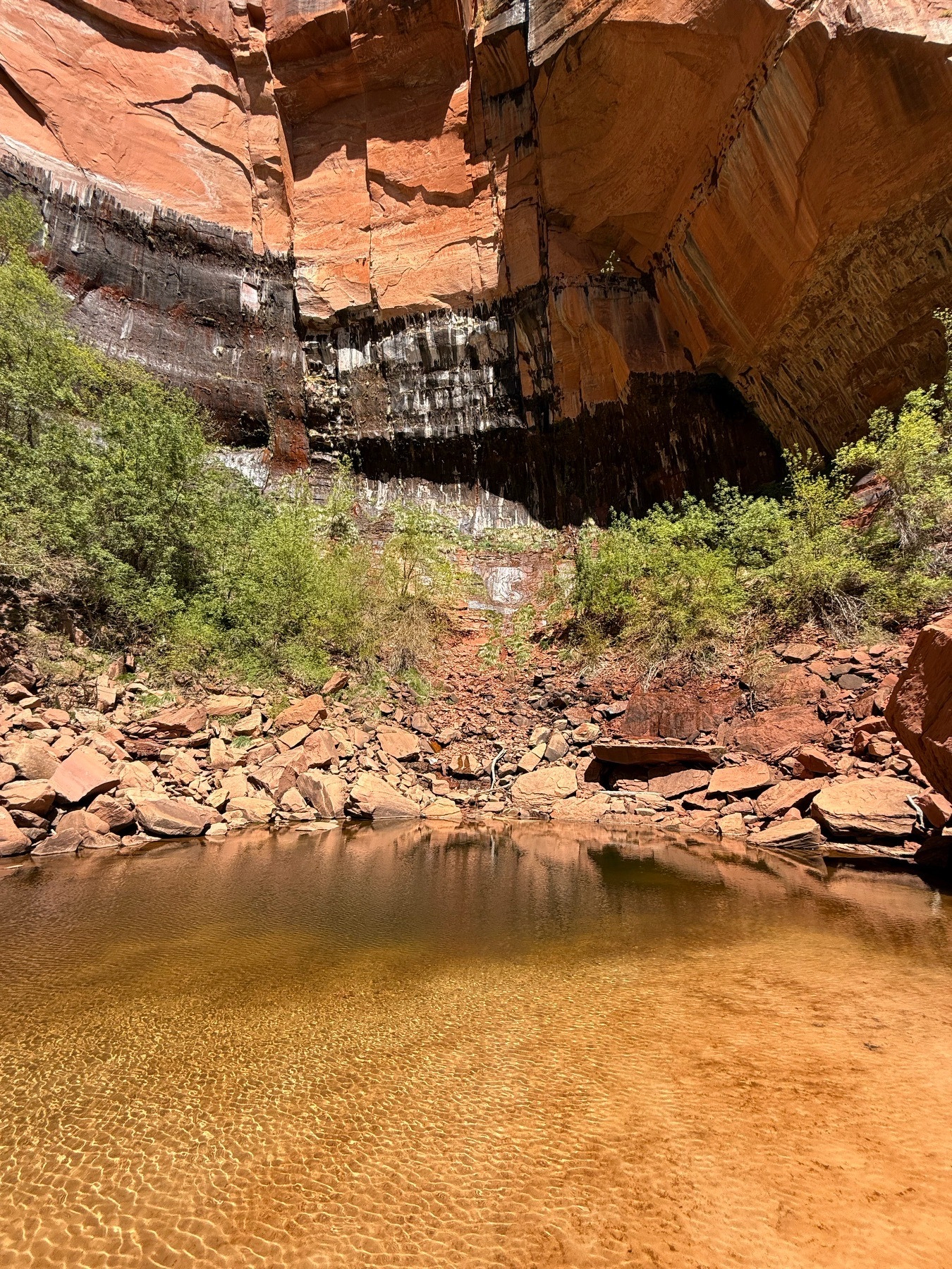 Upper Emerald Pool in Zion