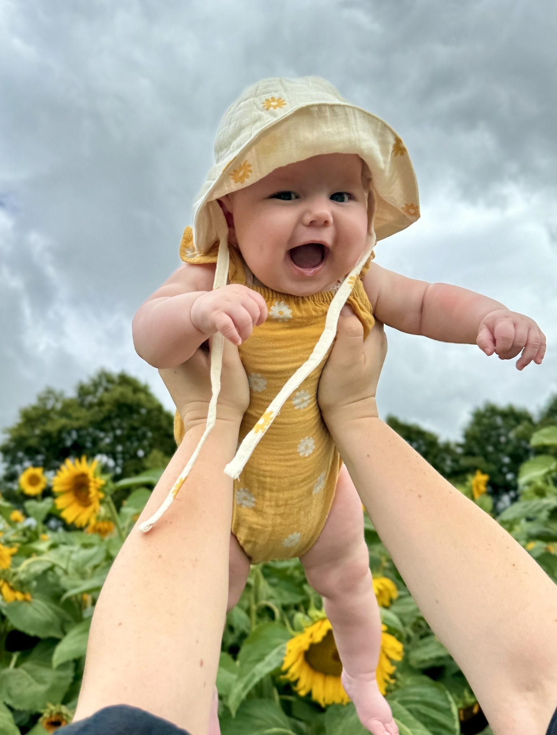 Happy baby held up in a field of sunflowers