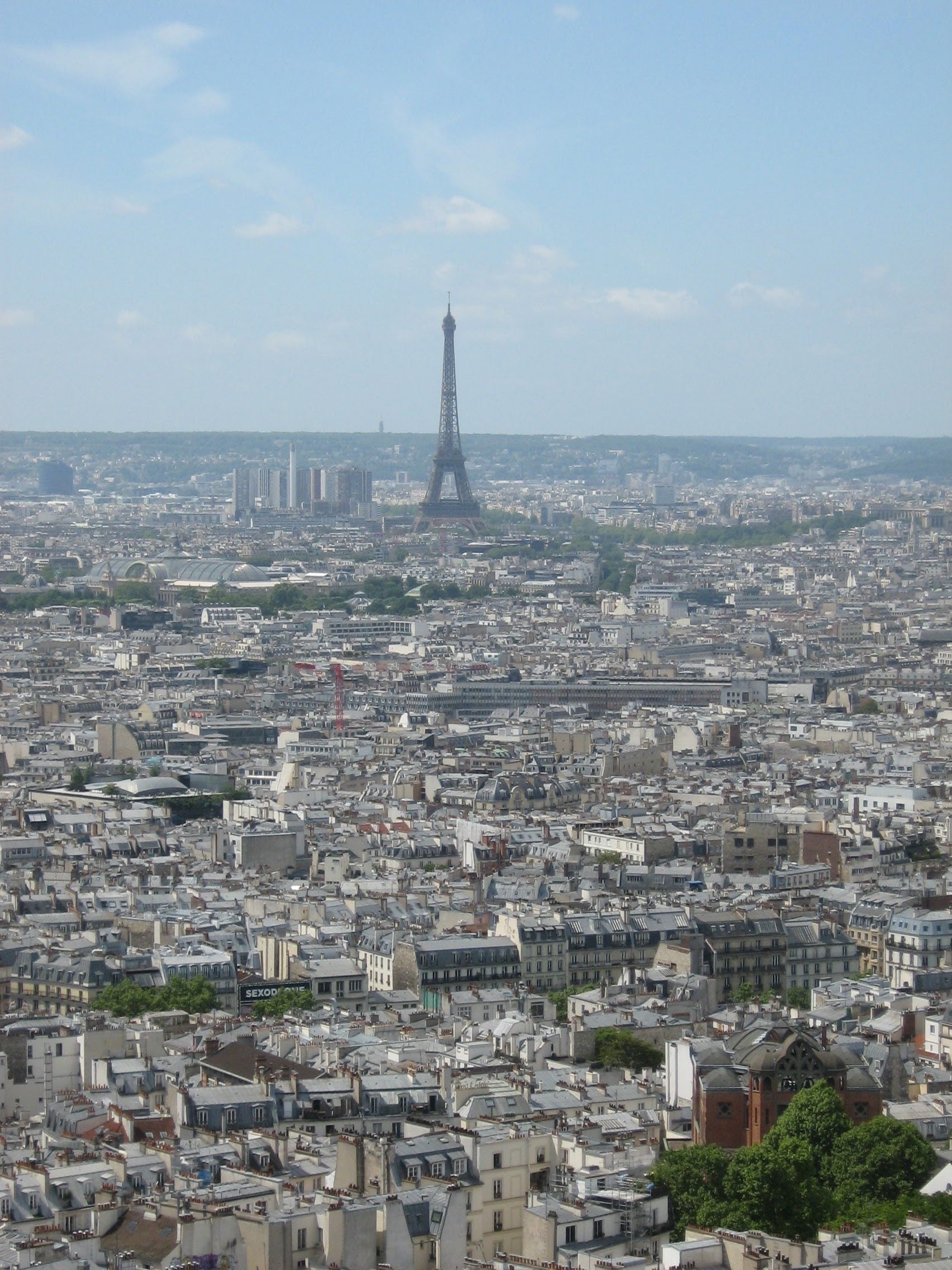 View of Paris, a lot of rooftops, with the eifel tower towering above everything else  