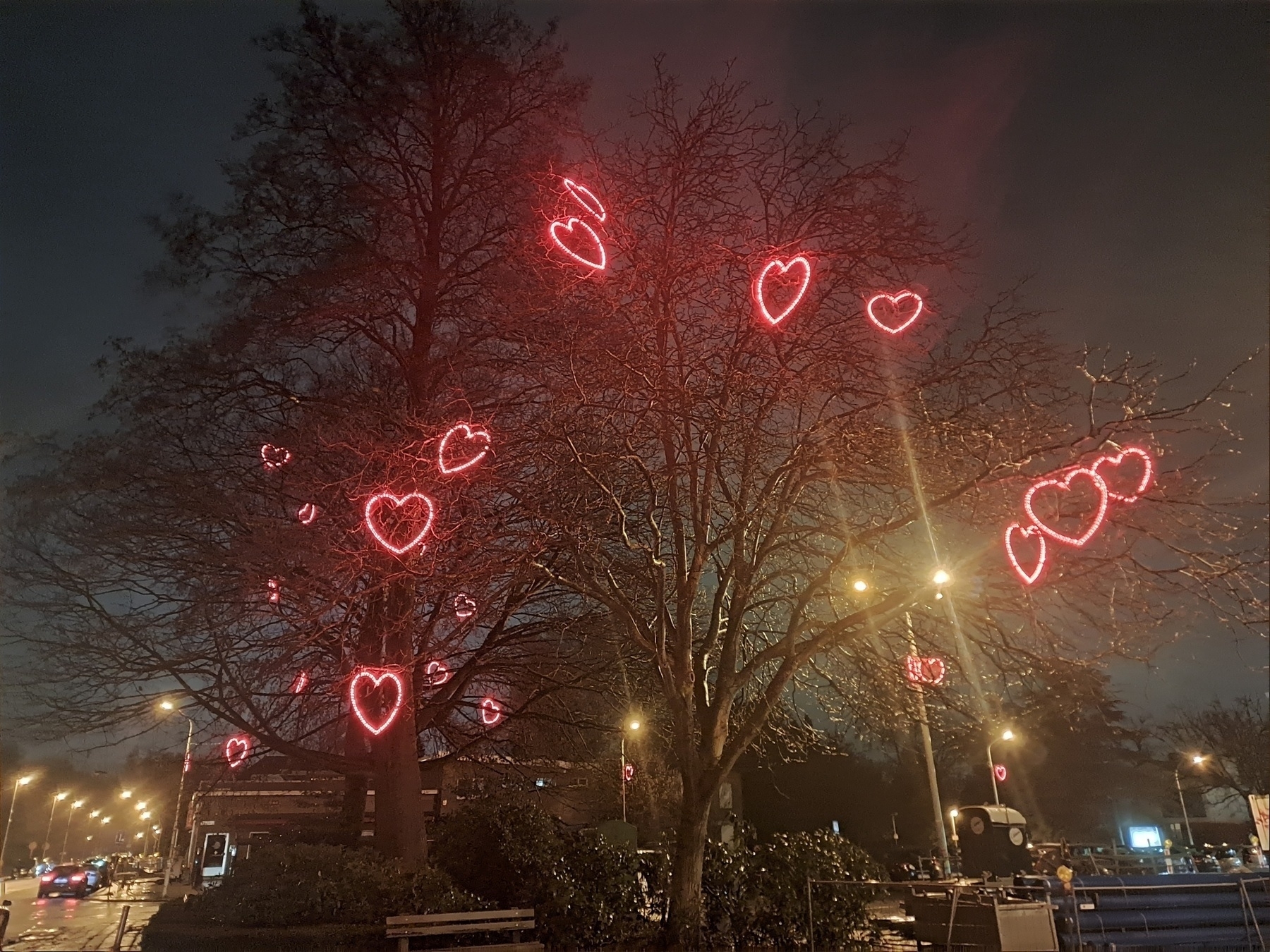 A tree with red lights shaped as a heart in it at a rainy evening
