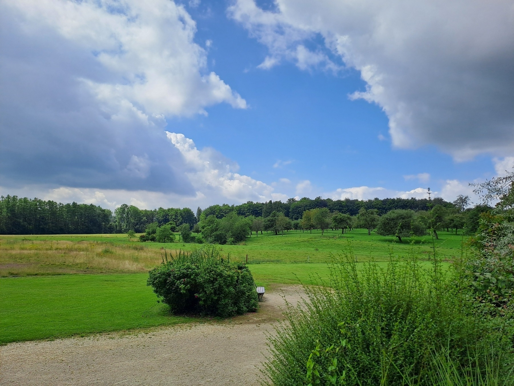 uitzicht op het domein waar  het museum is gevestigd