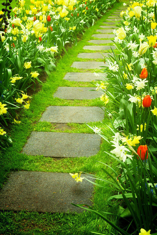 A simple, vibrant garden pathway