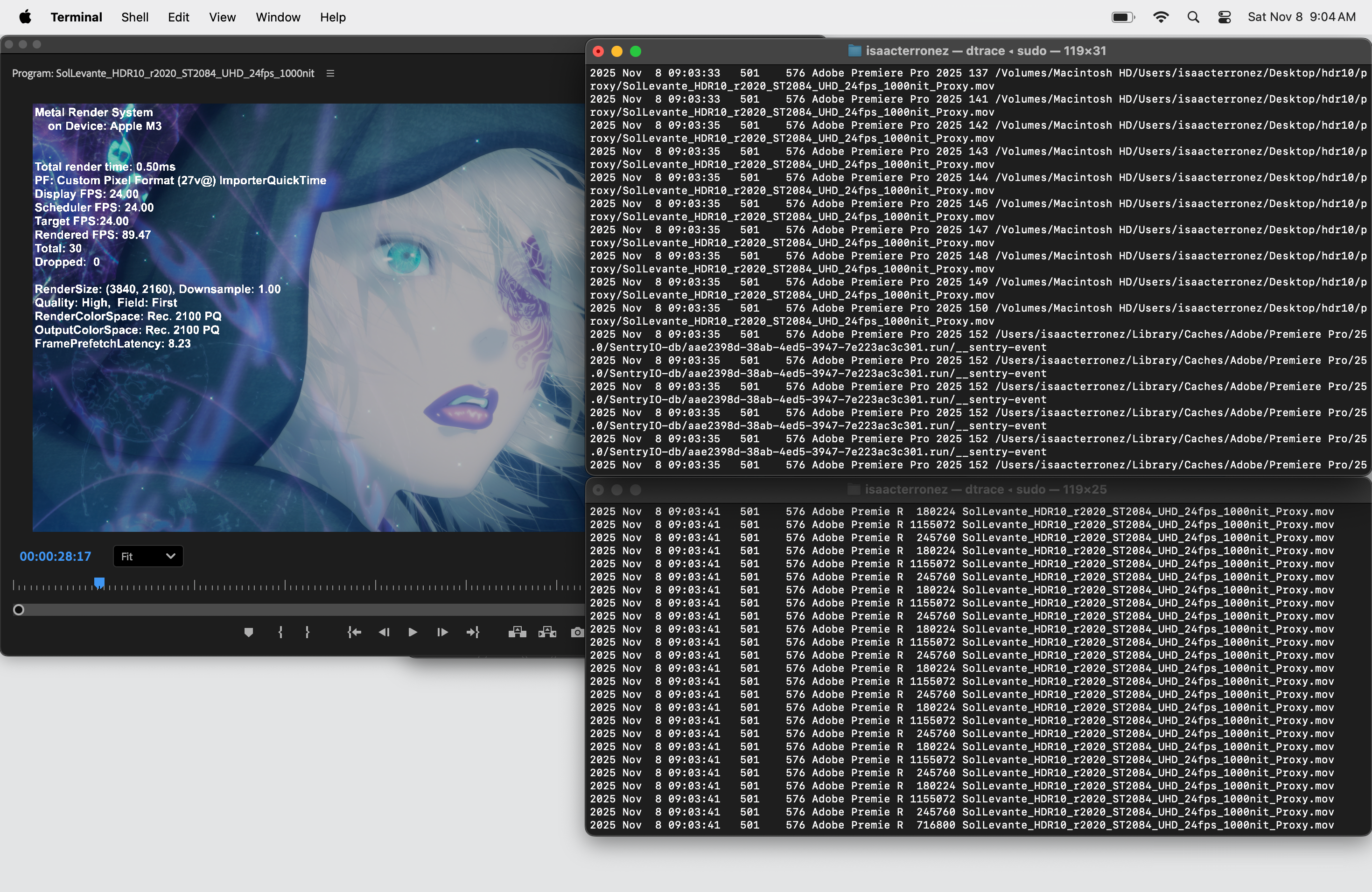 Premiere Pro playing Netflix Open Content with DTrace's helper apps opensnoop and rwsnoop running in the background