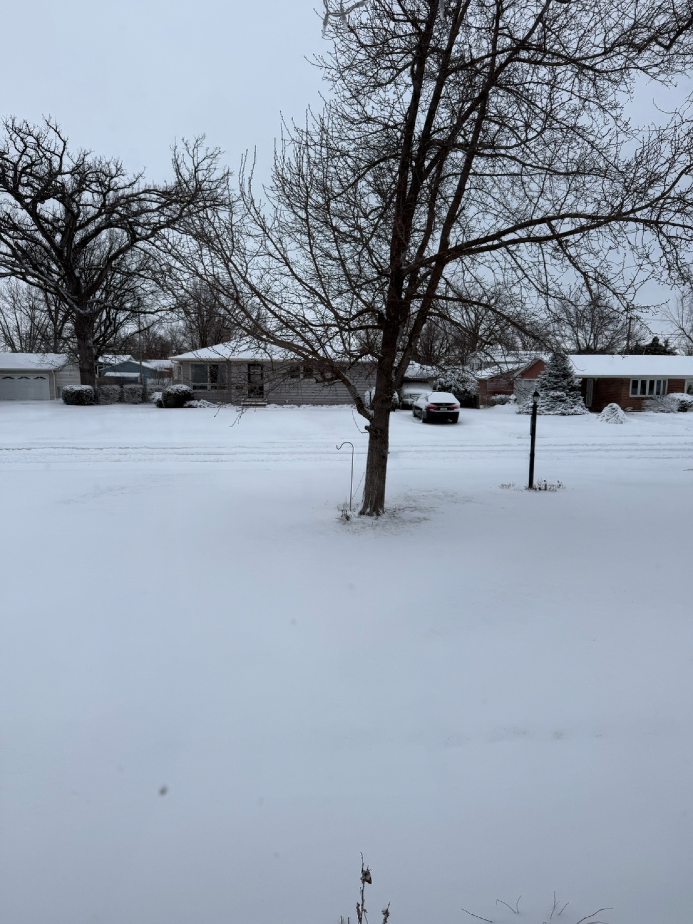 A neighborhood blanketed in several inches of fresh snow. 