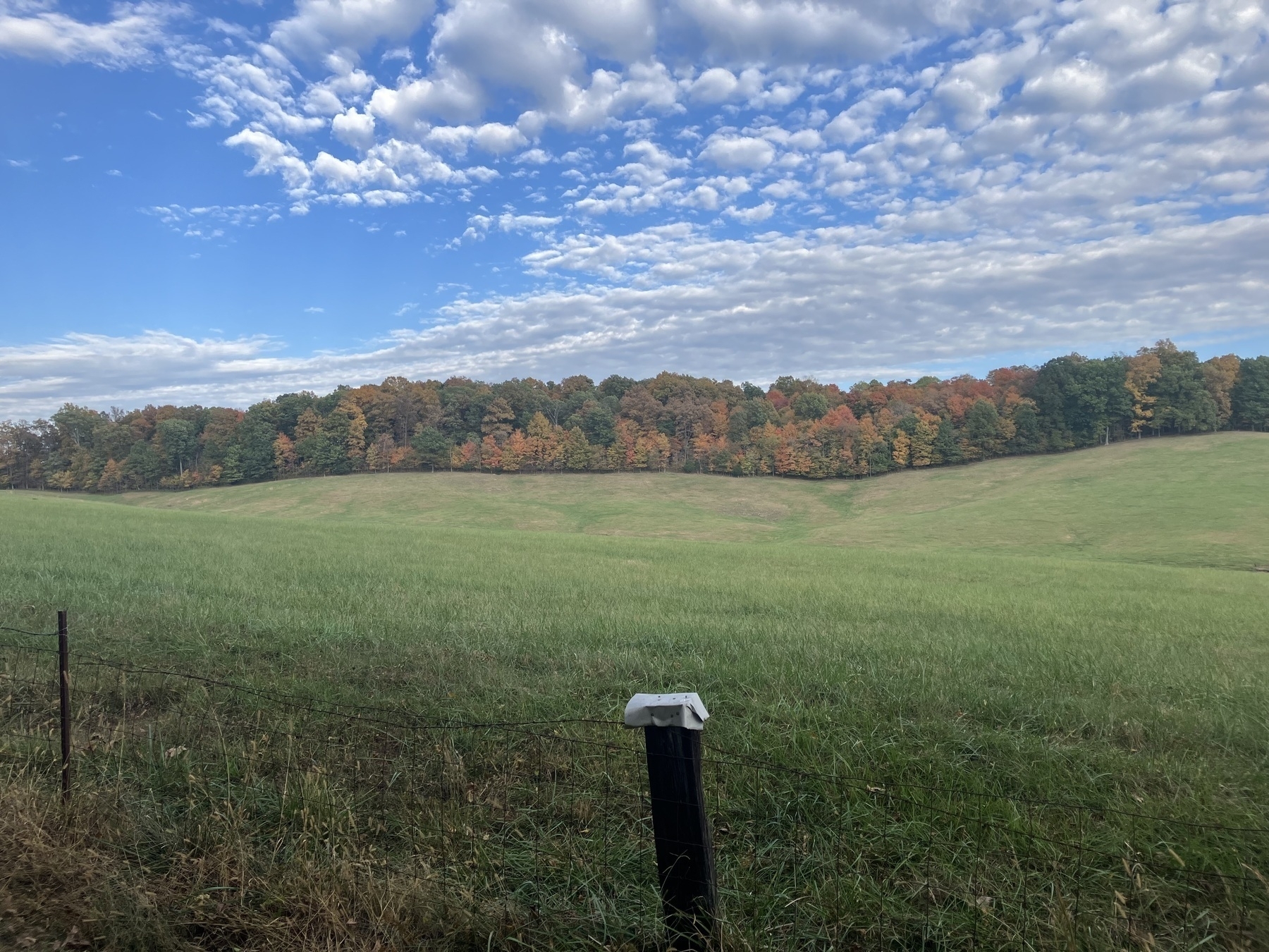 Auto-generated description: A grassy field is bordered by a line of trees with autumn foliage under a partly cloudy sky.