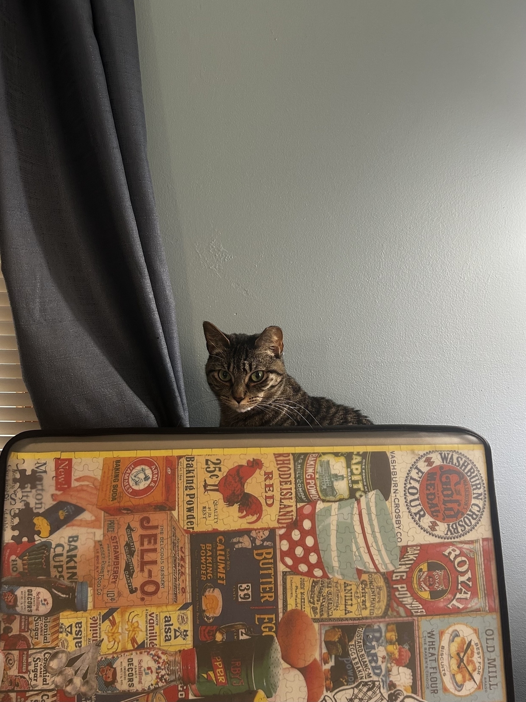 Dark gray tabby cat glaring at the camera from behind a mostly completed jigsaw puzzle 