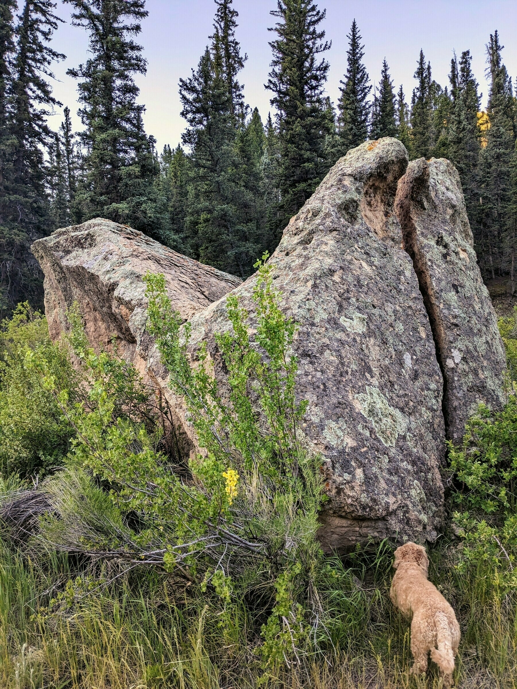 Rocks that look like sculptures by Henry Moore