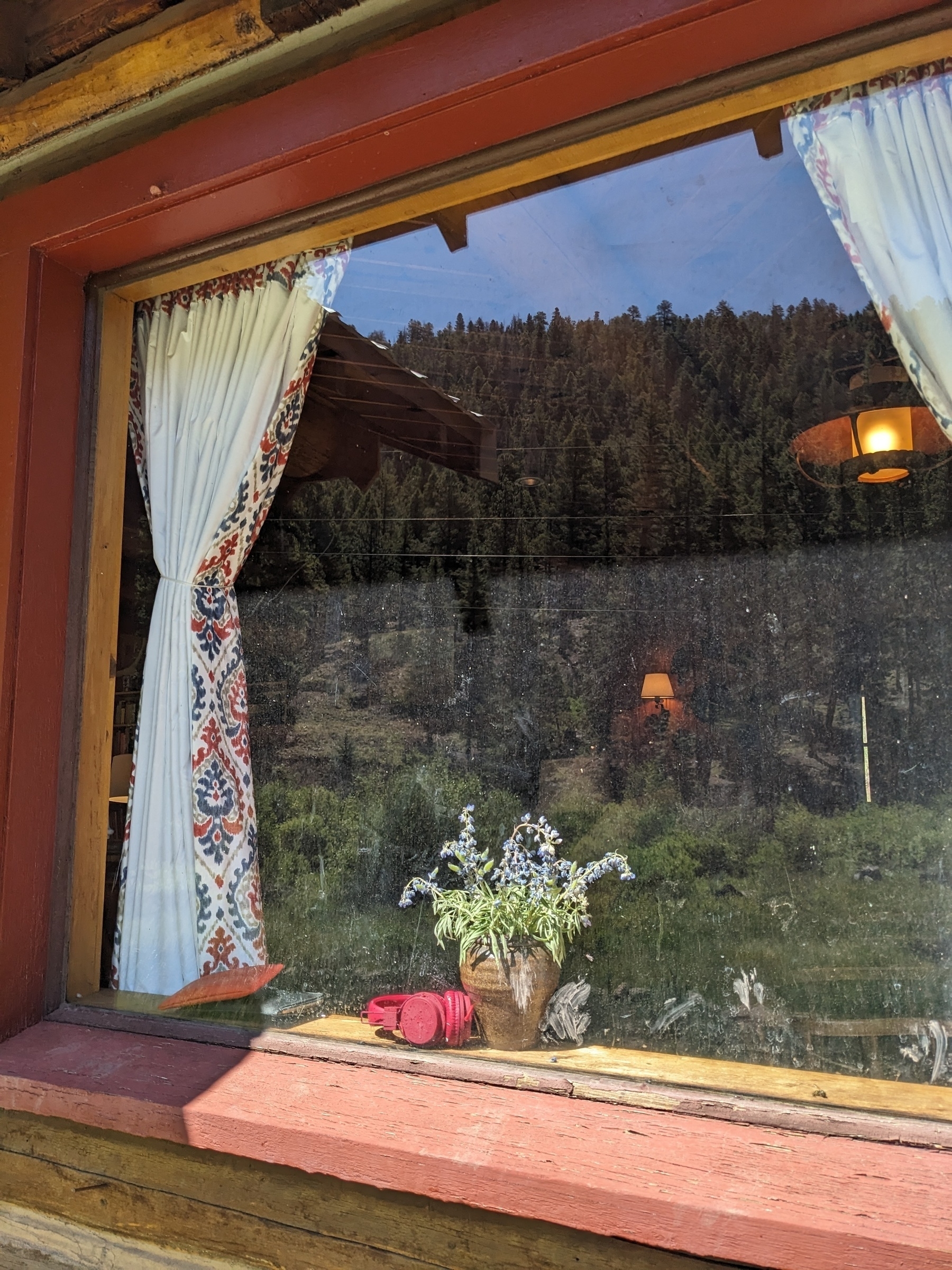 a vase of flowers in a window