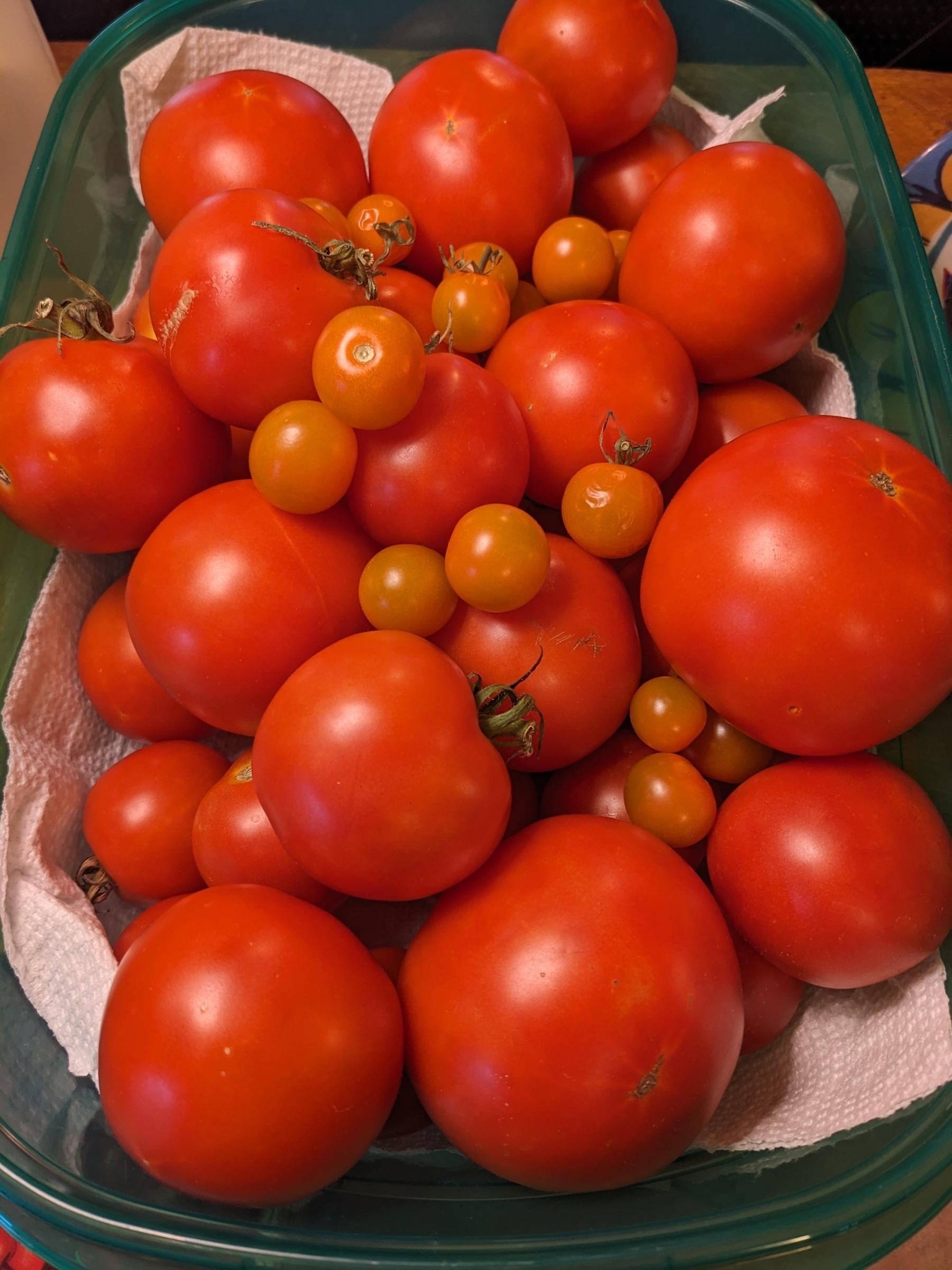 A container full of bright red tomatoes.