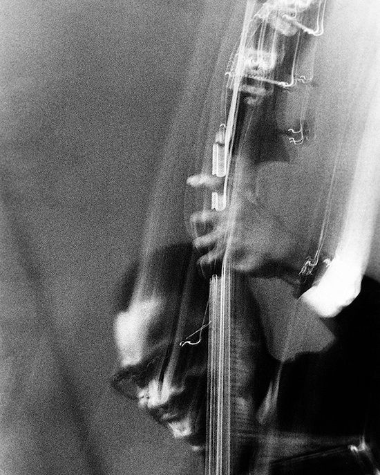 Bassist John Lamb, photo by Francine Wiman