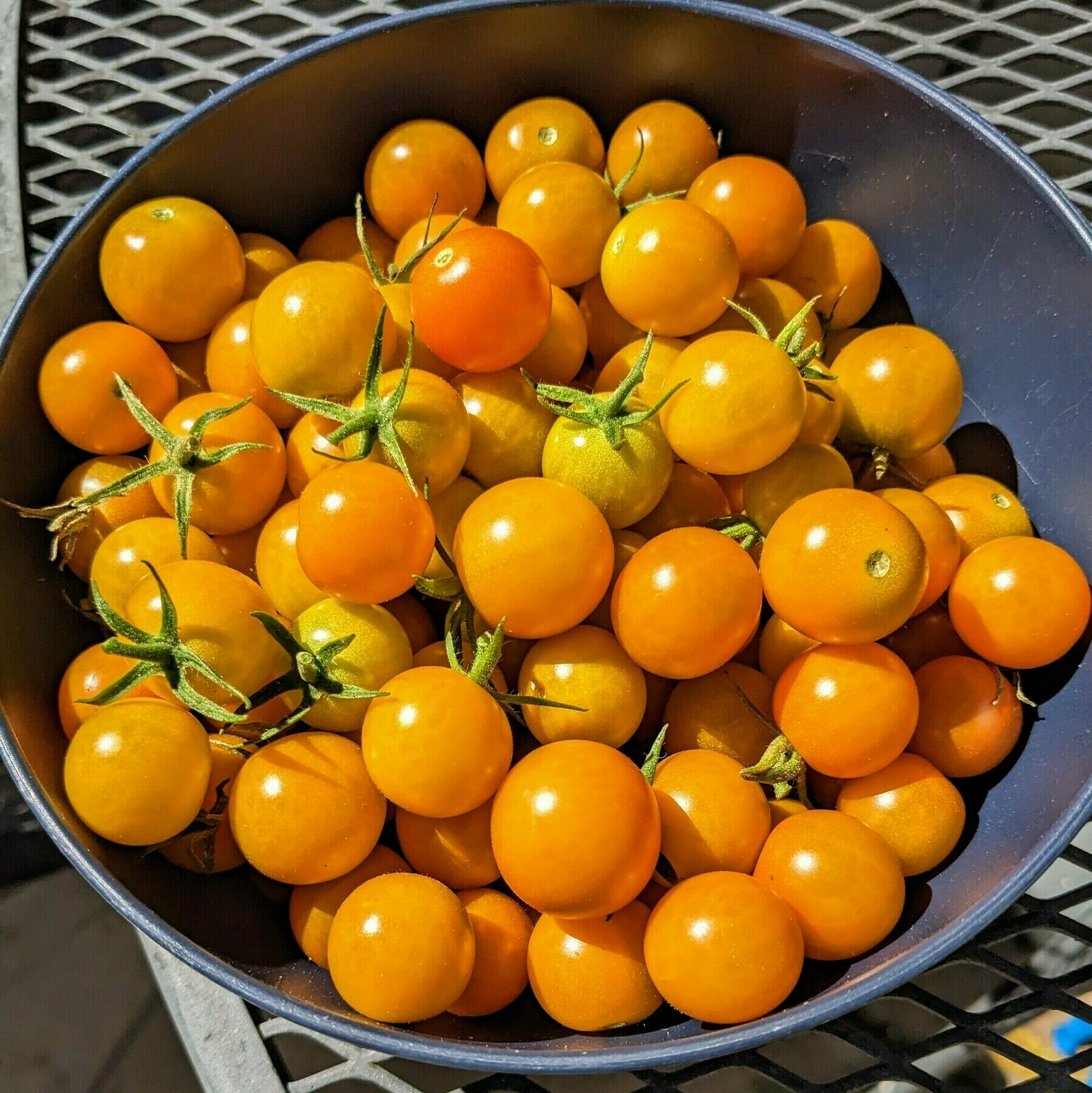 a bowl of yellow-orange cherry tomatoes