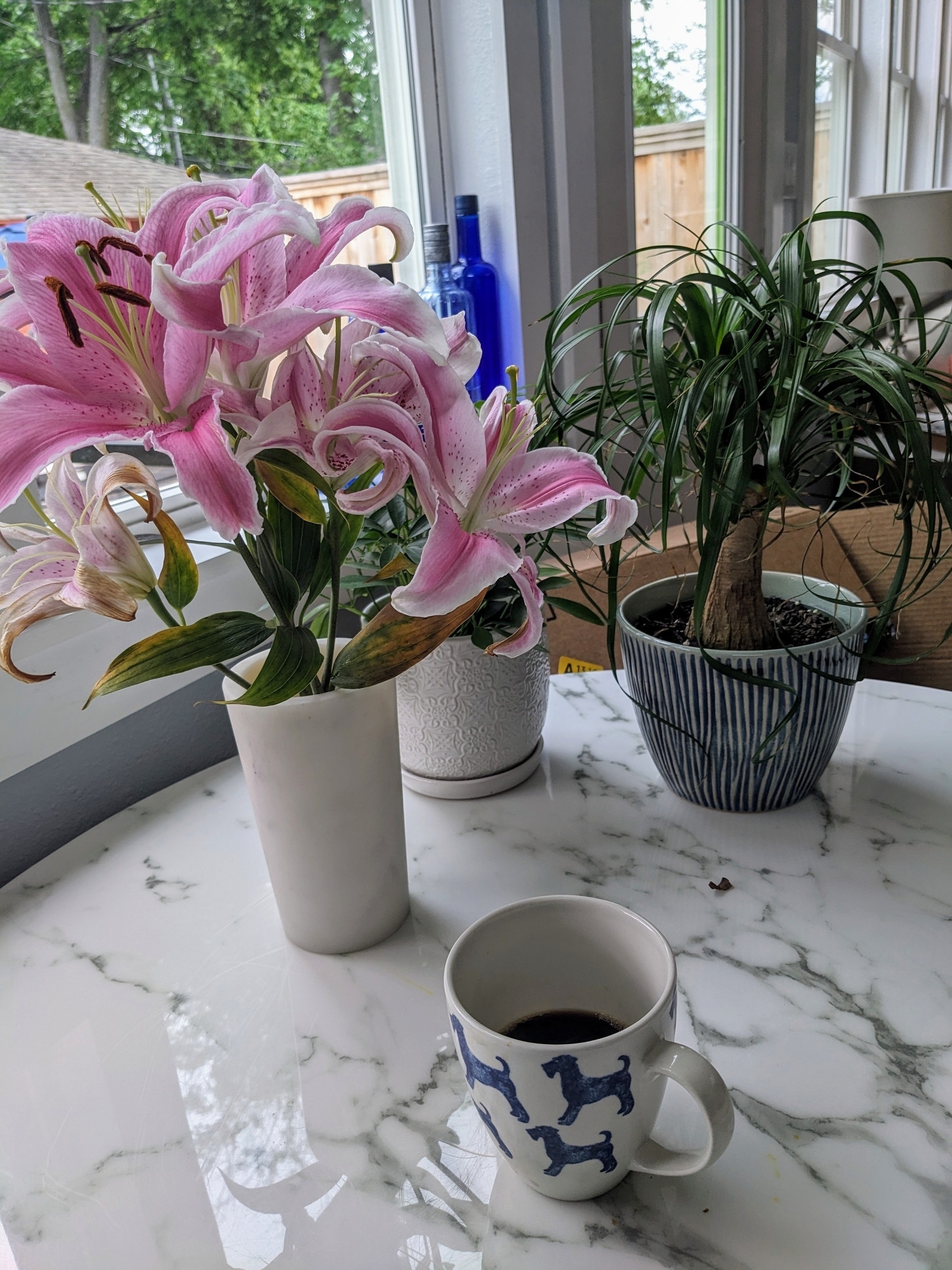 Breakfast table with a coffee cup, vase Stargazer lilies,  and other small potted plants.