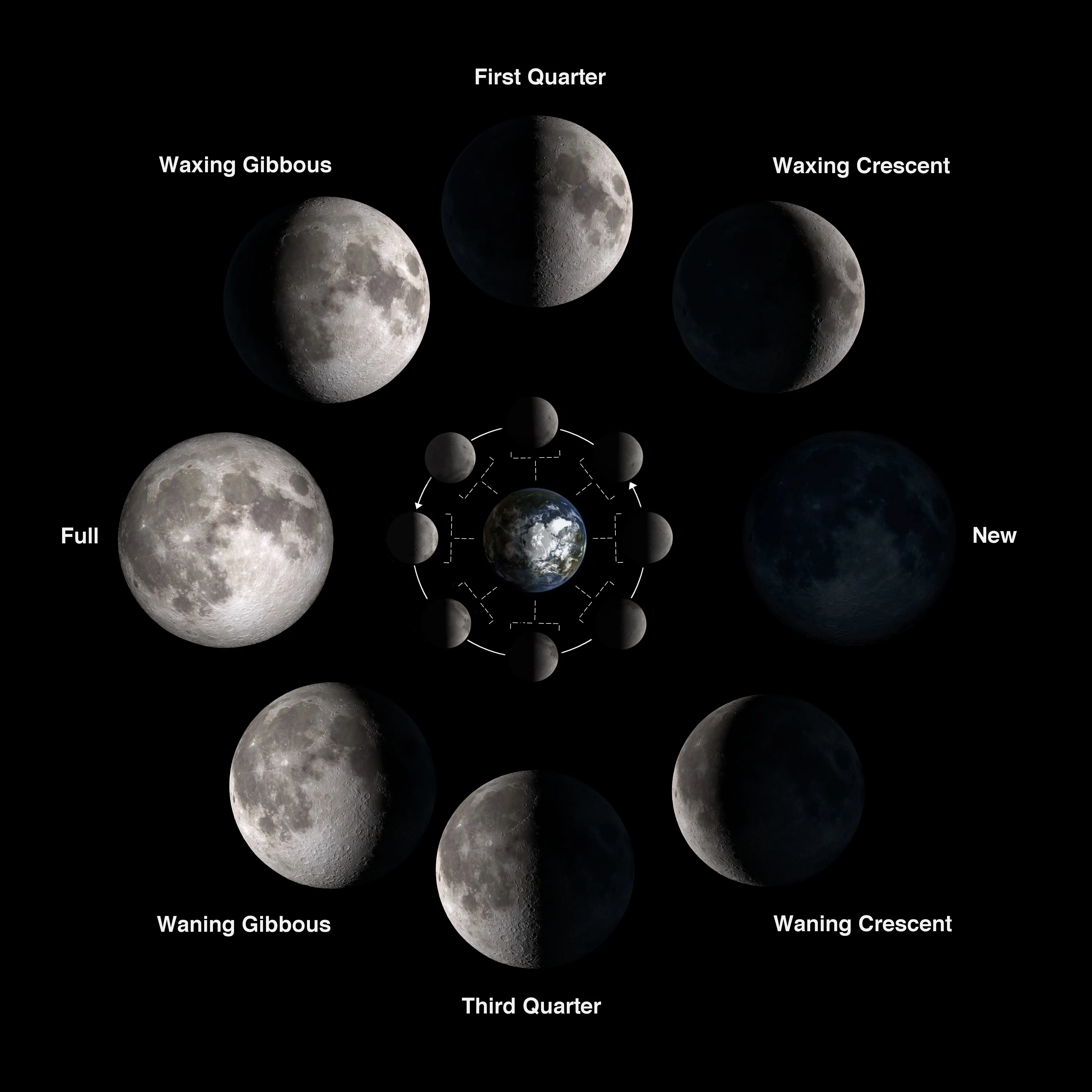 Auto-generated description: A diagram illustrates the eight phases of the moon, arranged in a circular pattern around Earth.