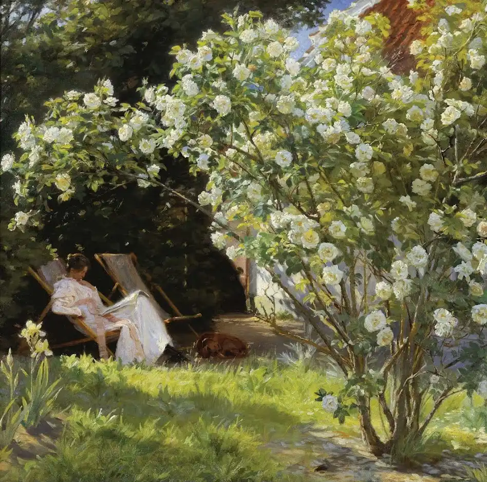 Oil painting of a bush of white roses in the foreground and a 19th century woman wearing white and reading in the rose garden in the background