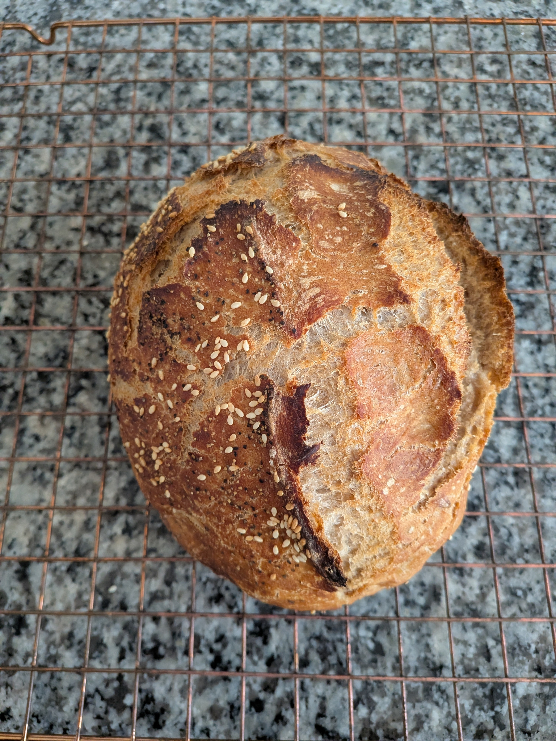 A loaf of crusty bread topped with sesame seeds rests on a wire cooling rack.